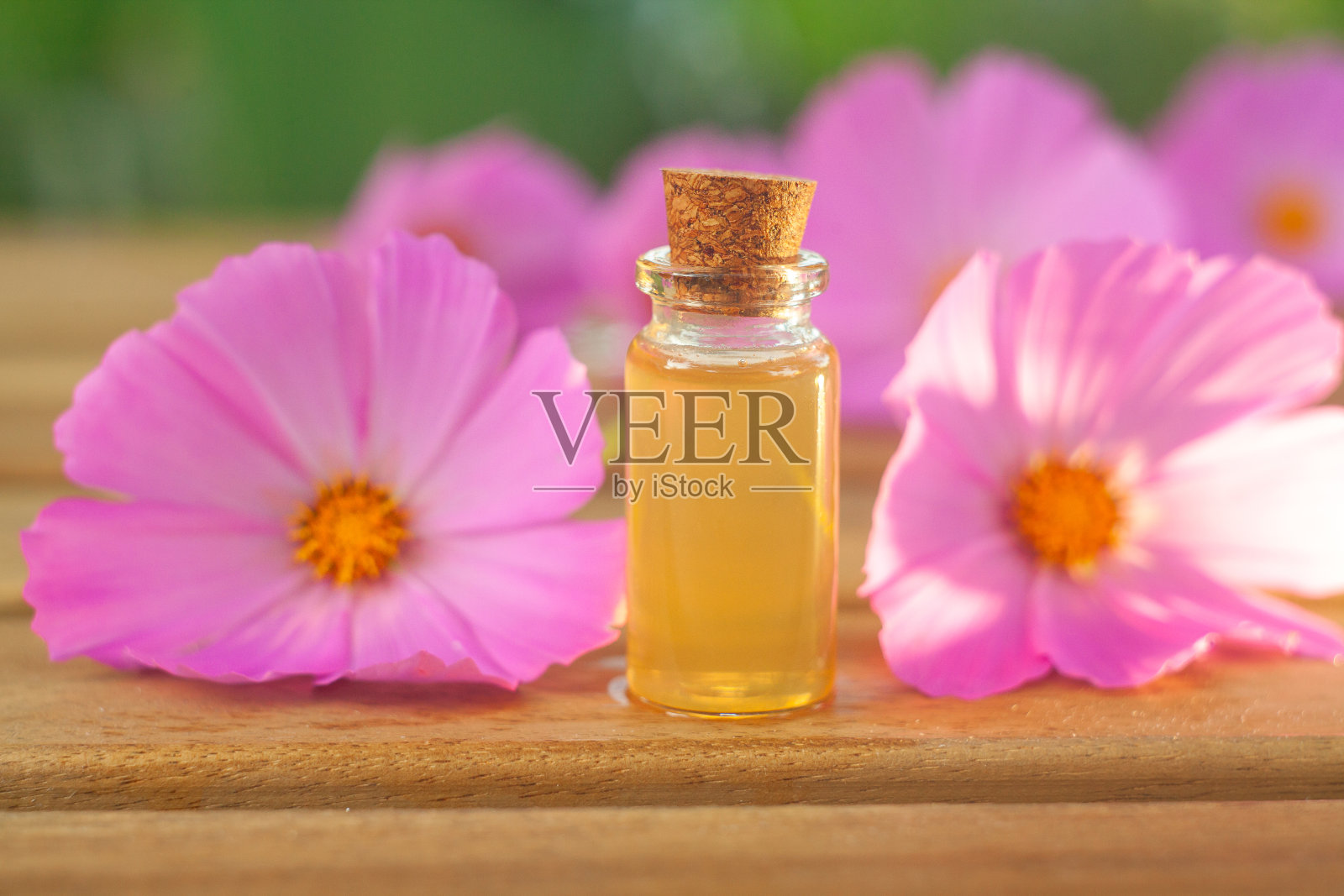 桌上的鲜花精华装在漂亮的玻璃瓶里照片摄影图片