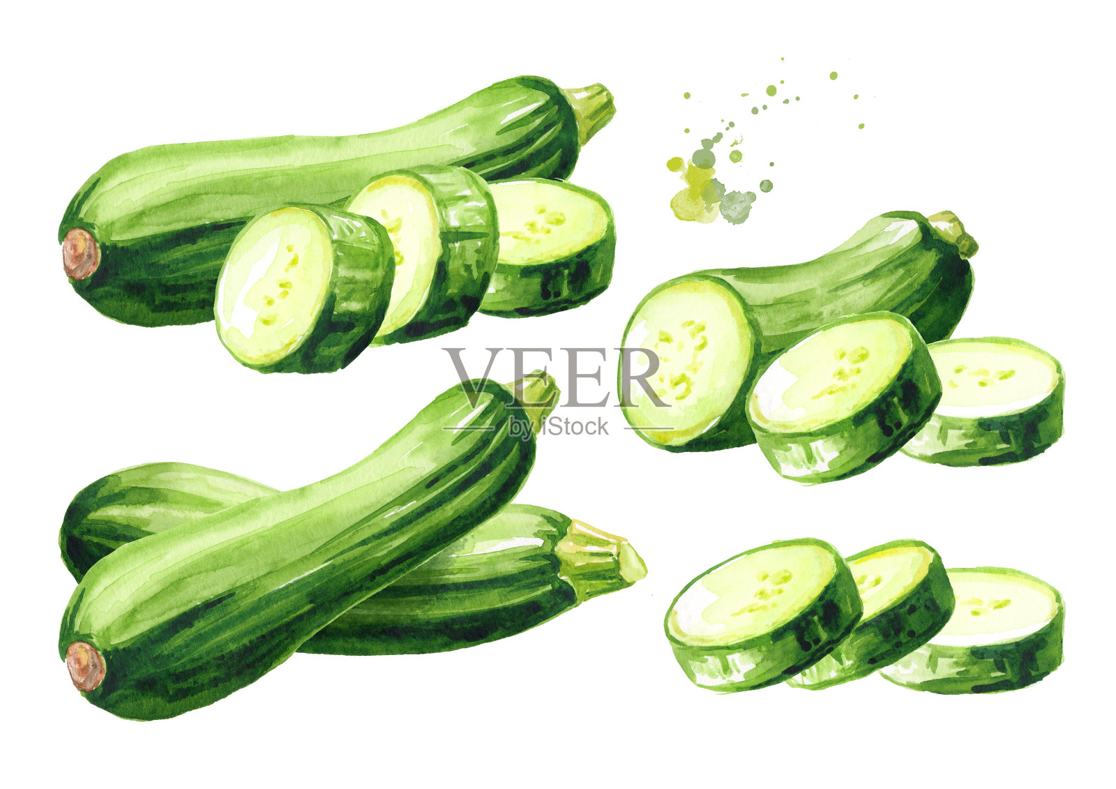 绿色整切西葫芦蔬菜套装。手绘水彩插图,孤立的白色背景插画图片素材