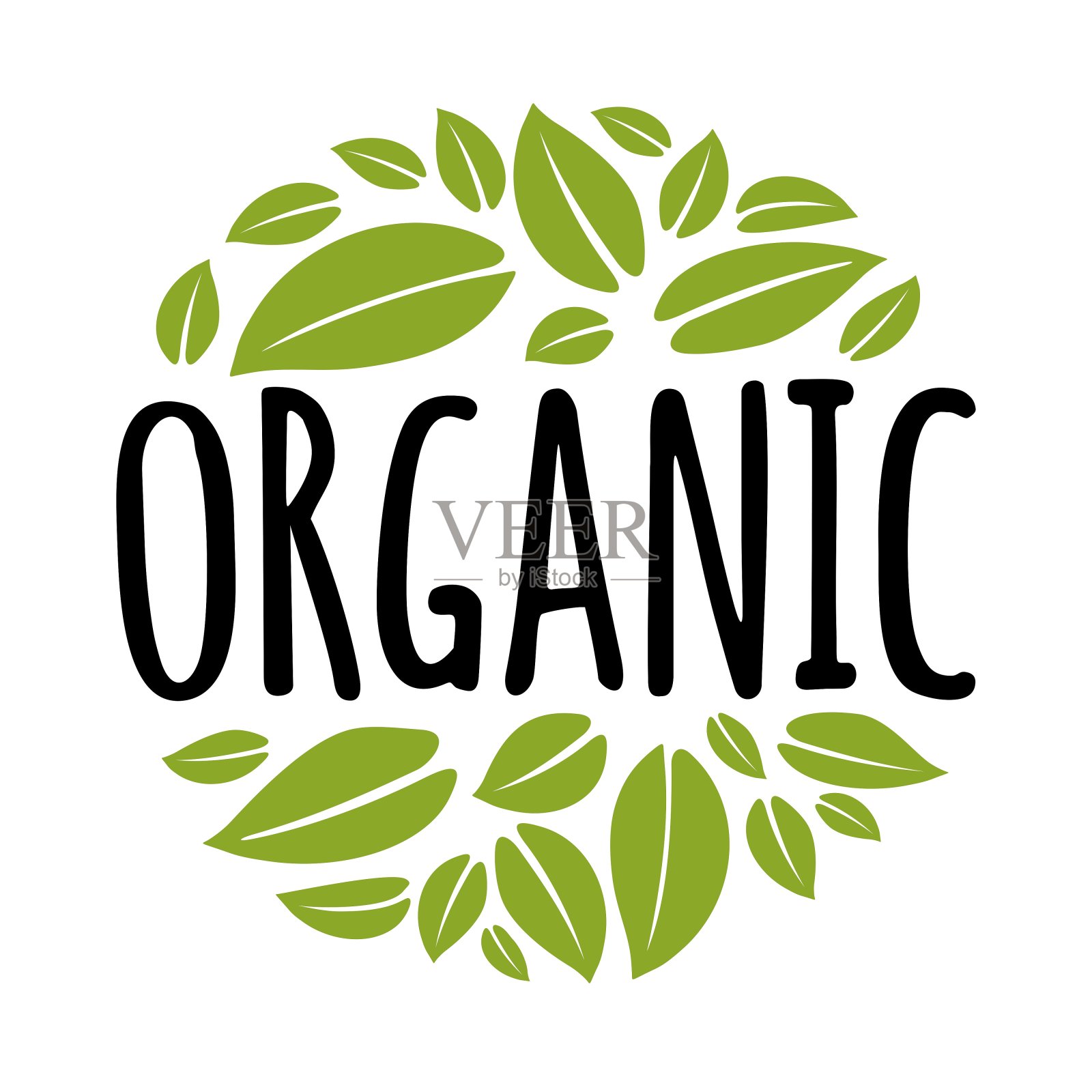 有机书法刻字。绿叶组成圆形。矢量图插画图片素材