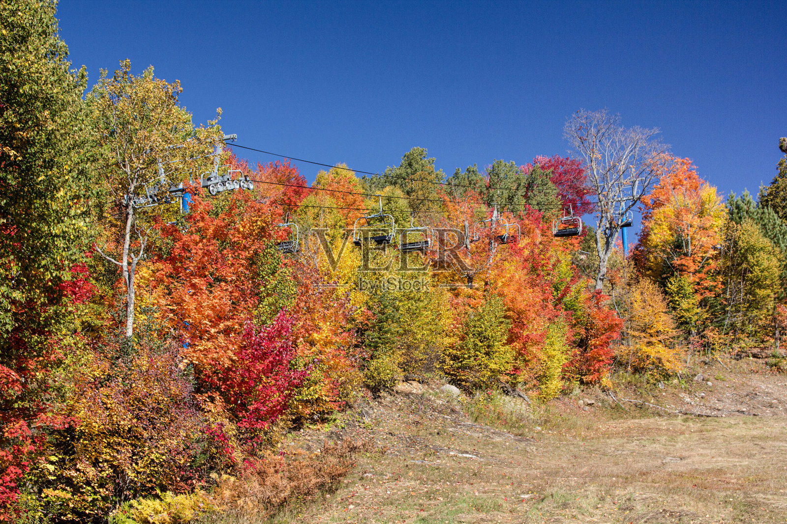山上的升降椅和秋叶五彩缤纷照片摄影图片