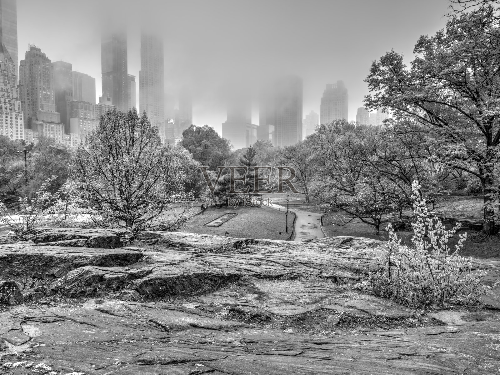 纽约中央公园的湖边照片摄影图片