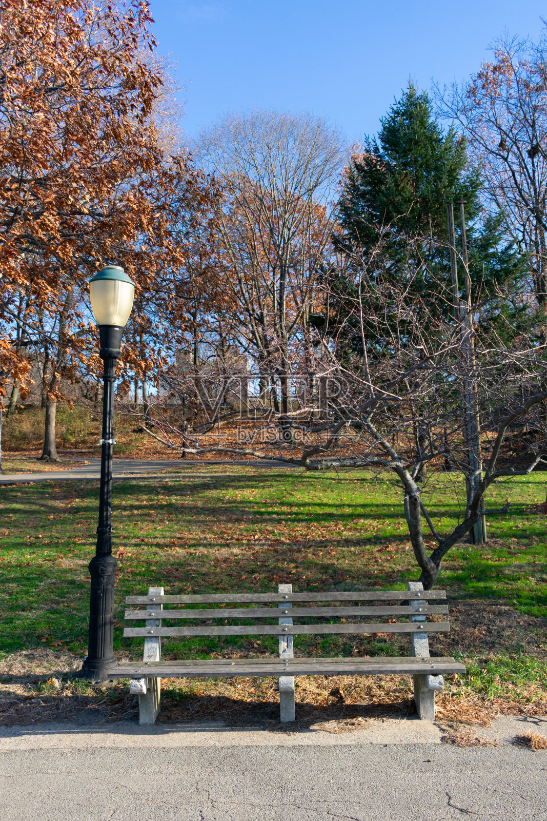 秋季,纽约市上西区河滨公园的空长椅照片摄影图片