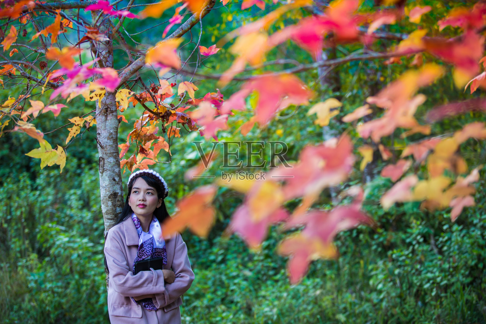 在花园里高兴地看到枫树变色的亚洲女游客。秋日的阳光照片摄影图片