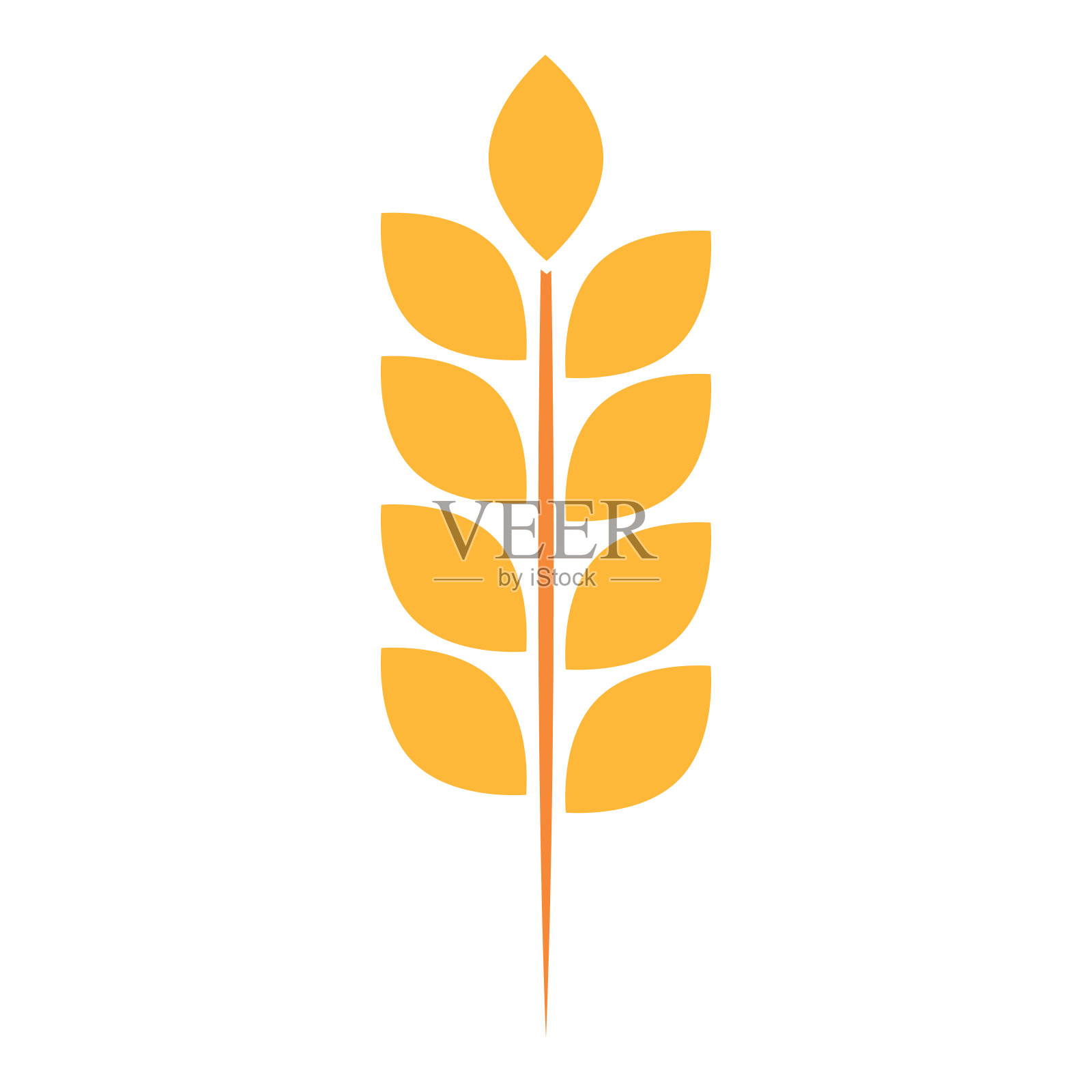 孤立的小麦图标插画图片素材