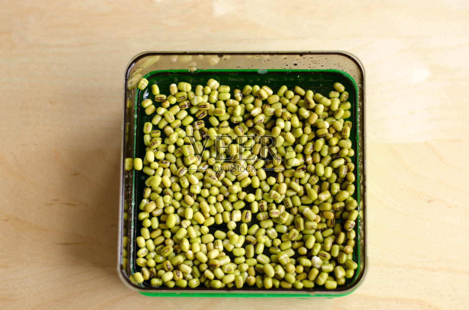 制作绿豆芽照片摄影图片