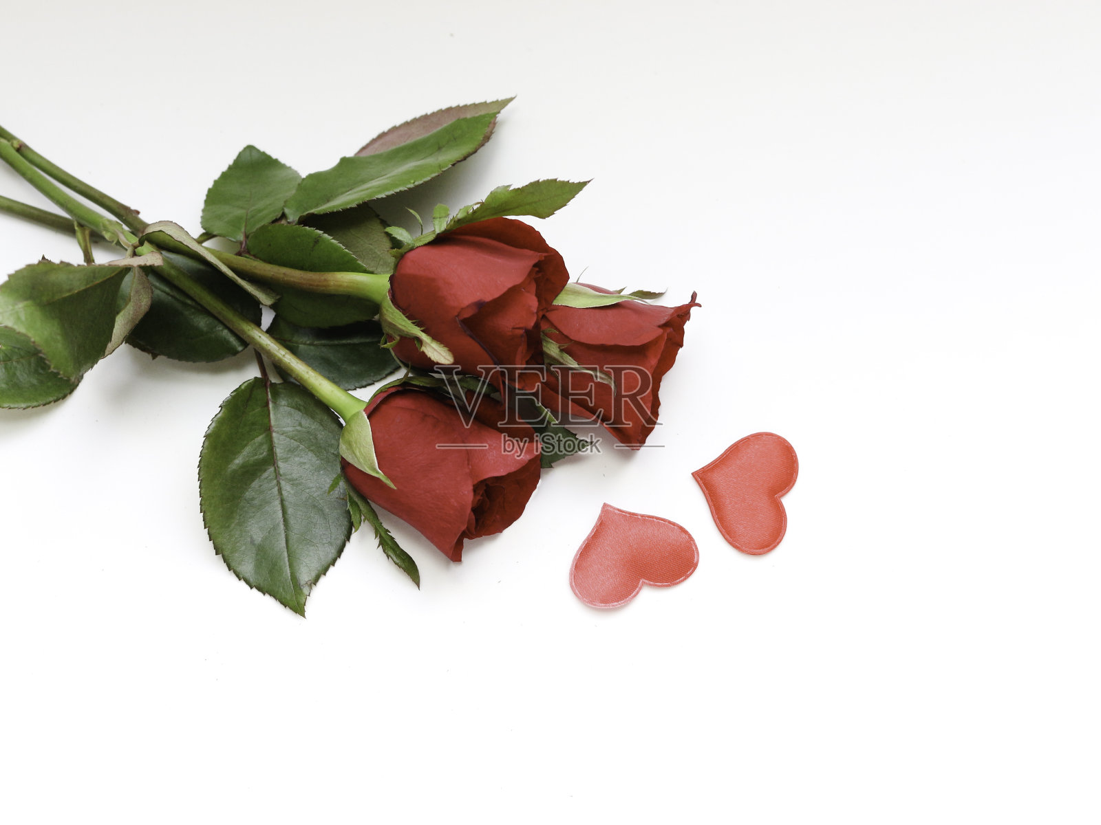 红玫瑰和红心配白底,甜蜜的情人背景照片摄影图片