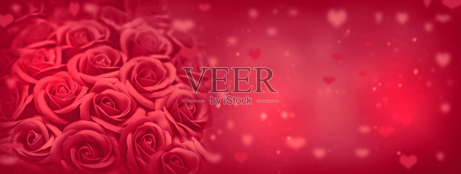 情人节卡片-玫瑰和心在浪漫的背景照片摄影图片