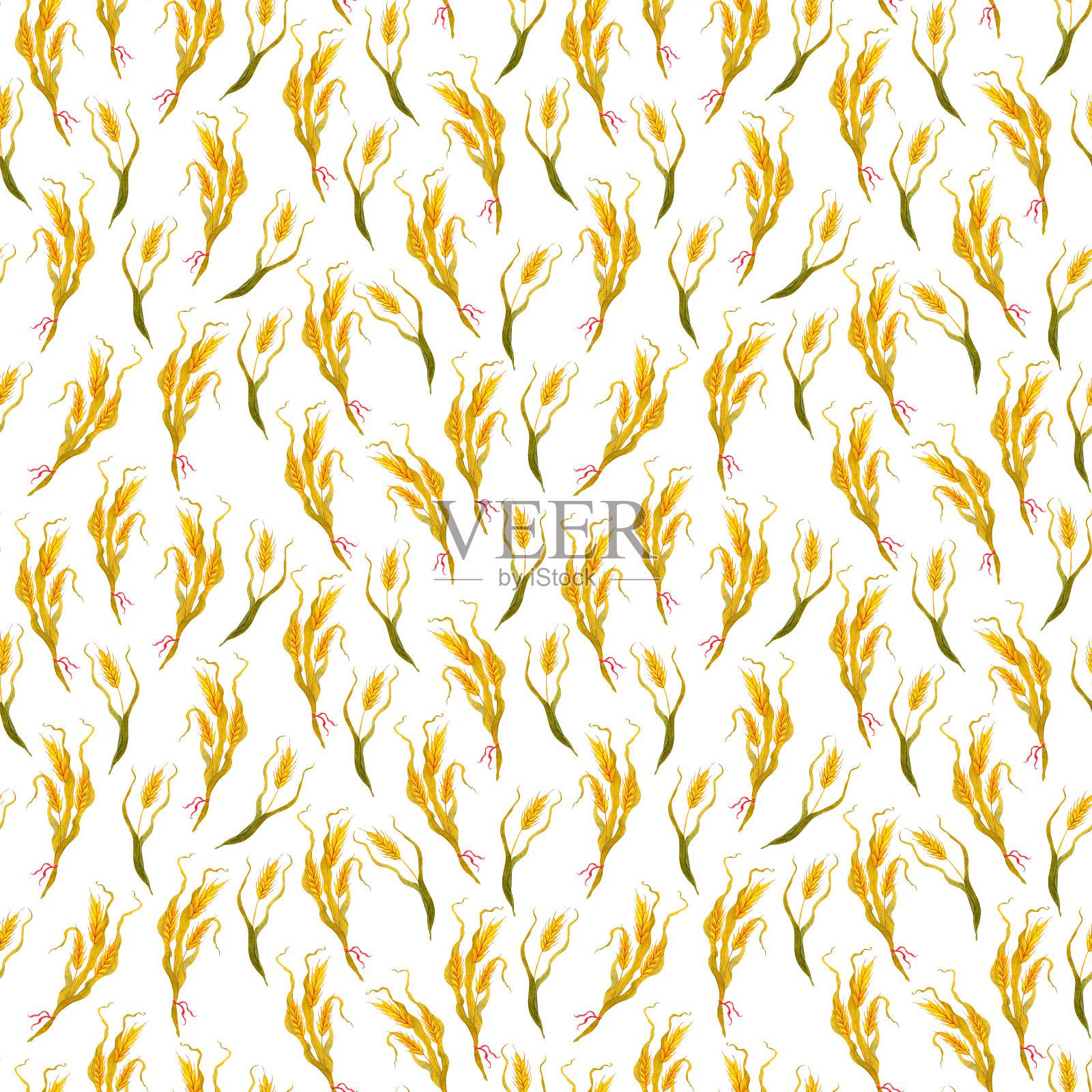 无尽的金色黑麦。谷类作物的小穗。无缝插图上的白色背景。用于装饰卡片,横幅,文具,家居装饰。插画图片素材