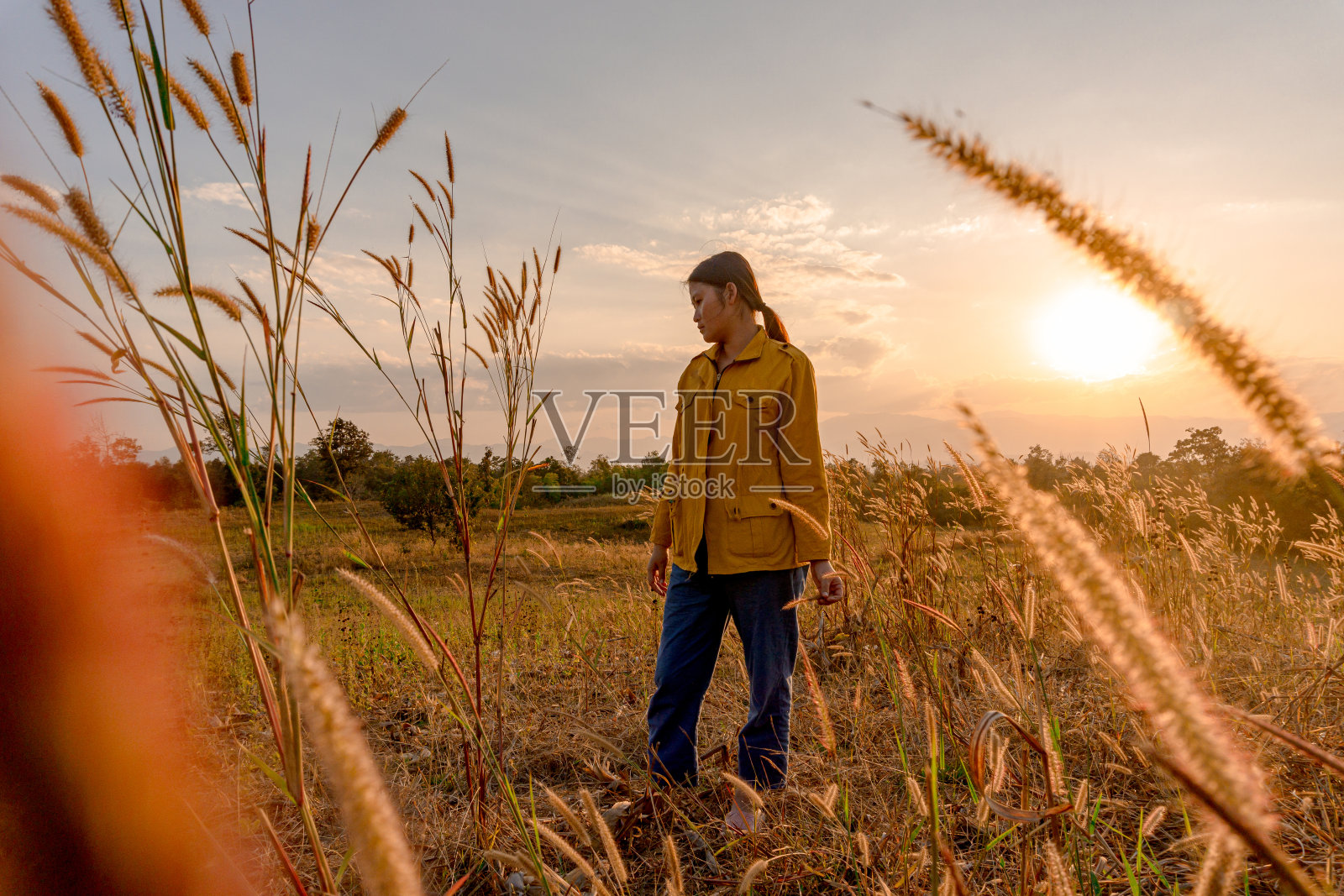 夏季热带森林中的女孩照片摄影图片