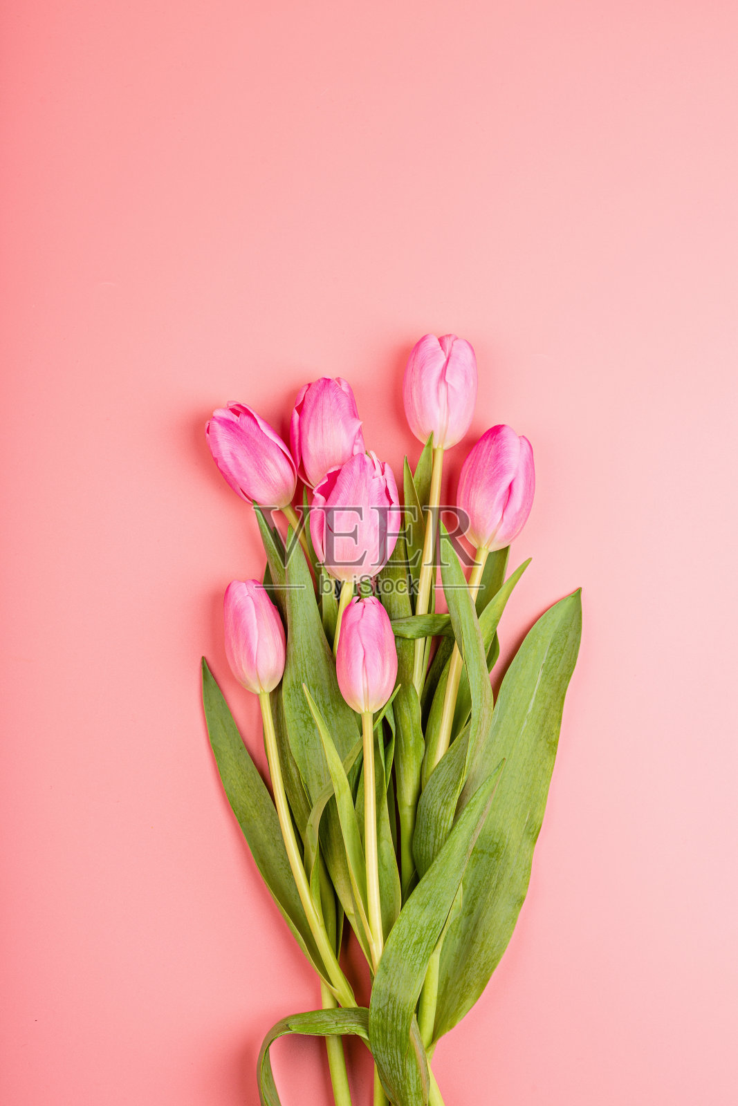 郁金香和礼品盒俯视图,妇女节、情人节背景贺卡照片摄影图片