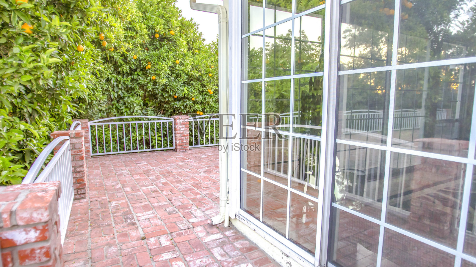 全景:带窗户的甲板上有绿色的橘子树照片摄影图片