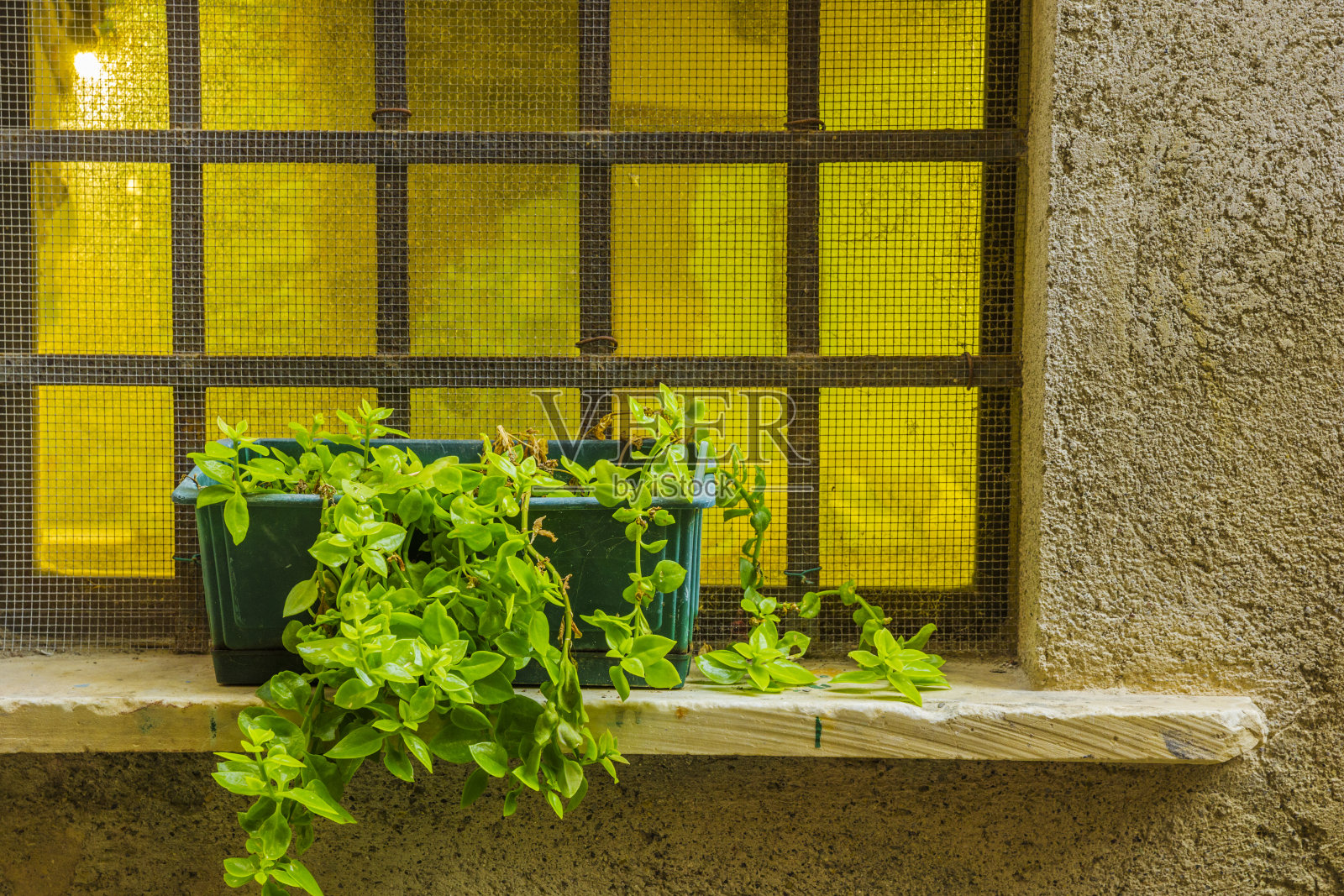 意大利五馆国家公园照片摄影图片