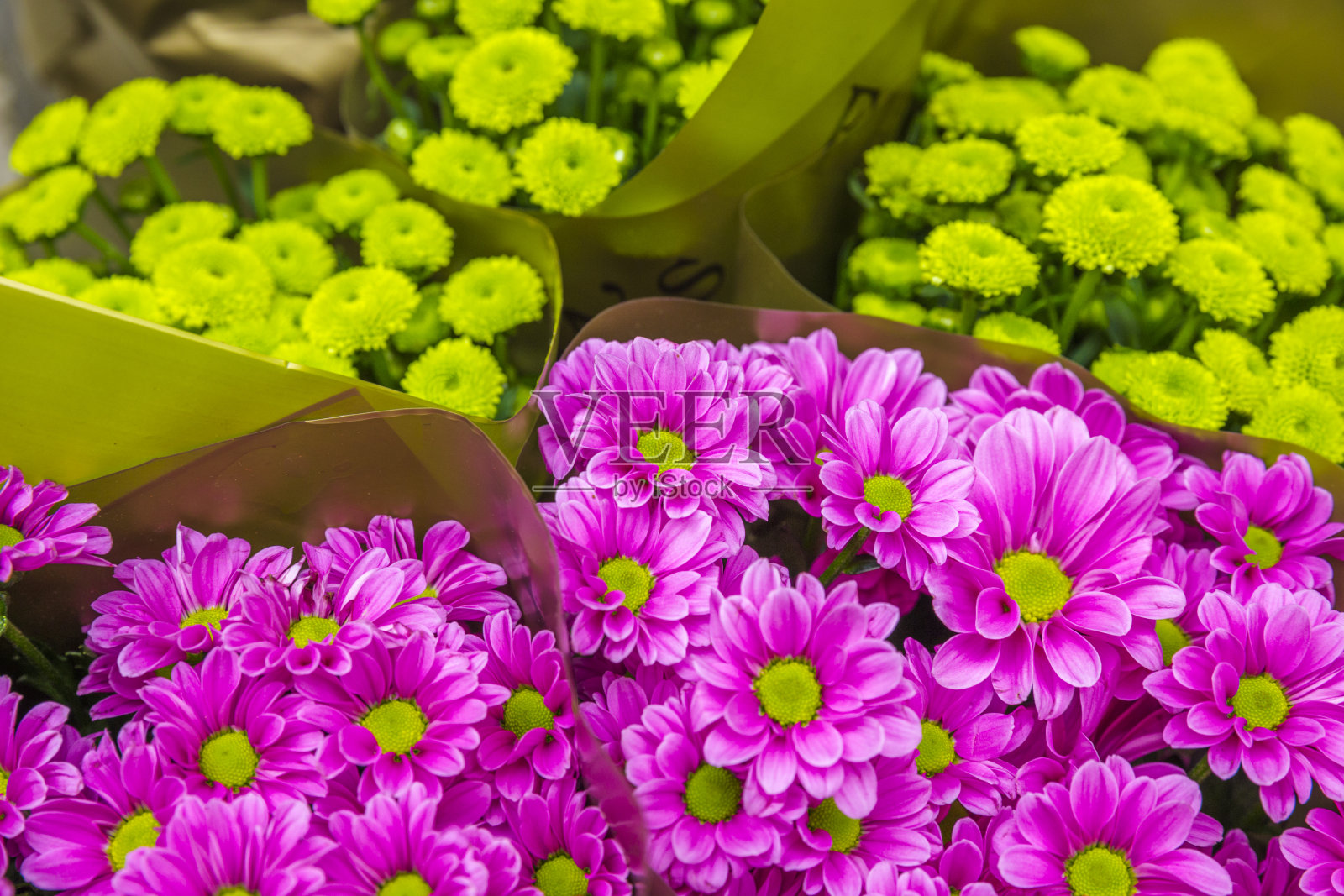 意大利历史名城维罗纳照片摄影图片