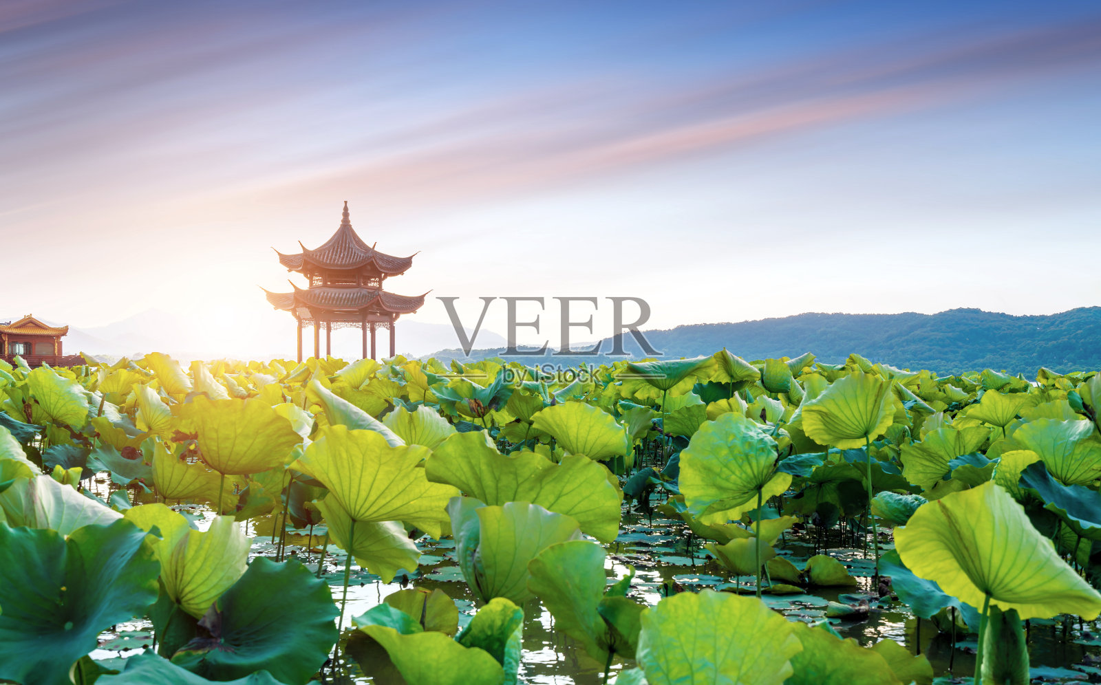 中国杭州西湖风光照片摄影图片