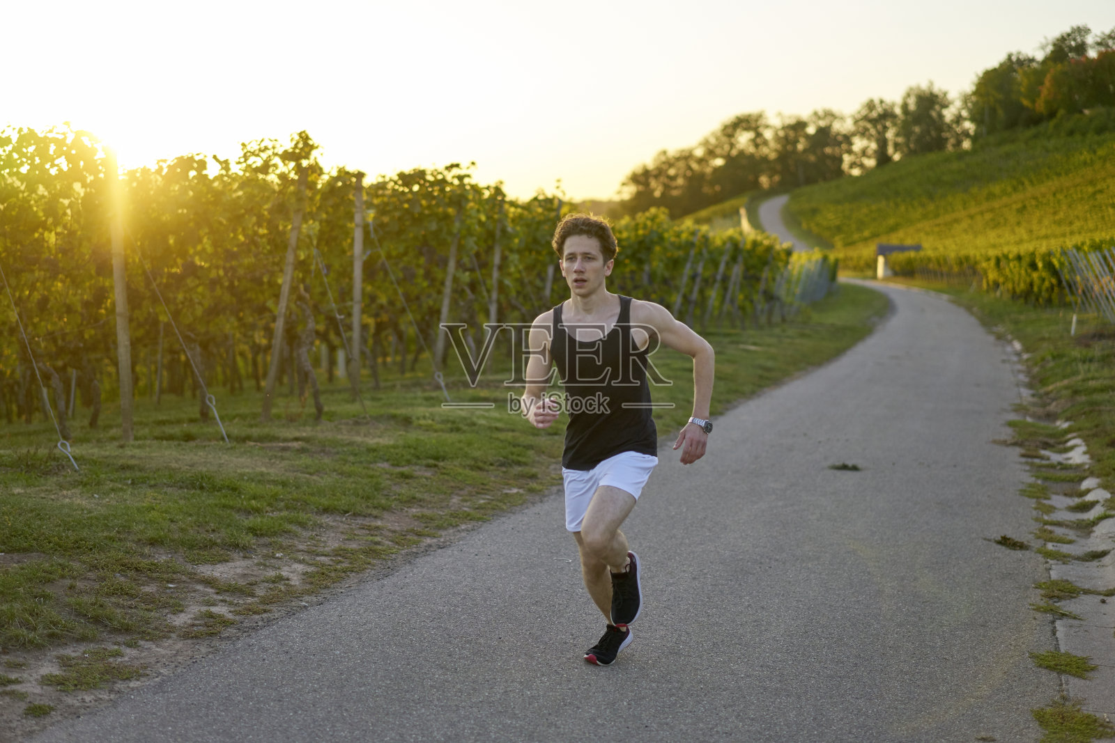 在葡萄园中跑步的年轻活力男子照片摄影图片