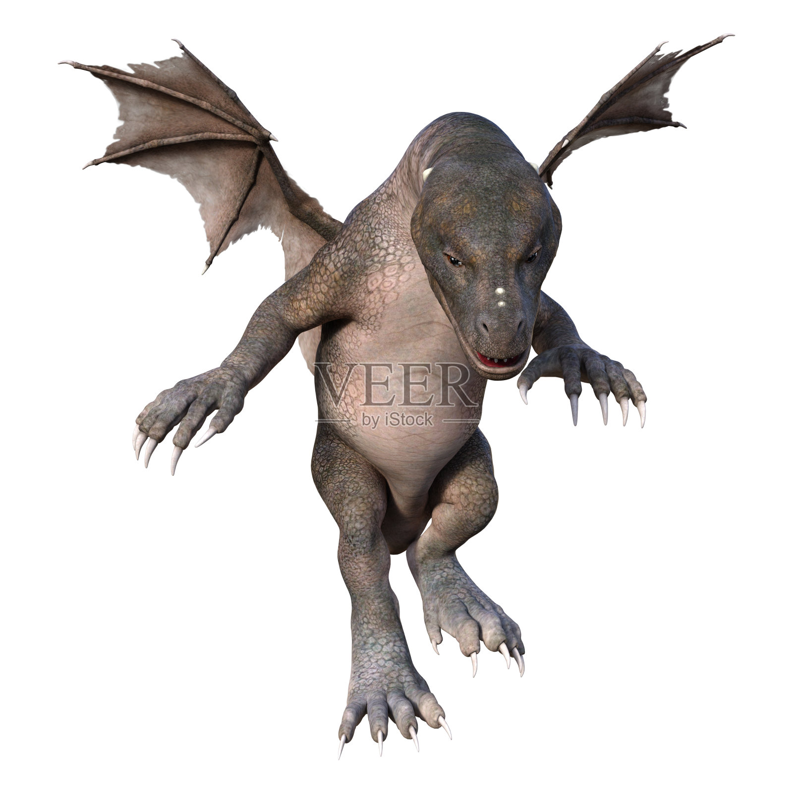 3D插图幻想龙在白色照片摄影图片
