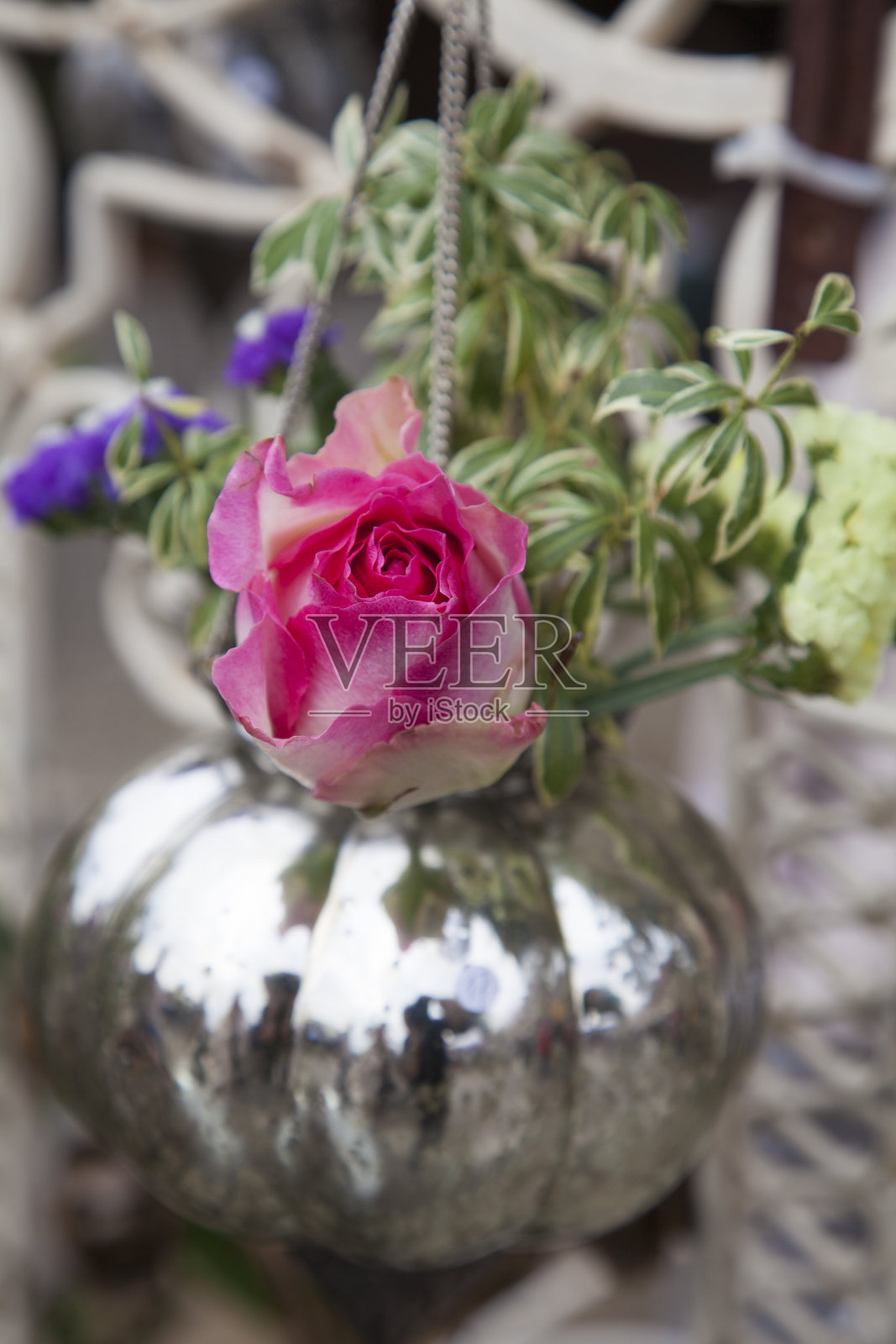 闪亮的小金属花瓶与粉红色的玫瑰花盛开和植物装饰照片摄影图片