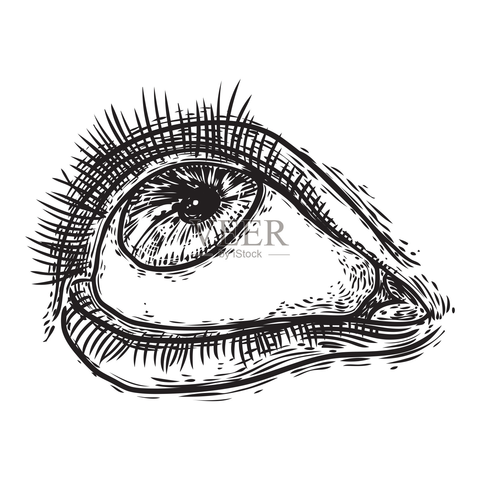 有睫毛的人眼。手绘光学视觉器。化妆、美容院或所有视觉符号设计元素。向量。插画图片素材