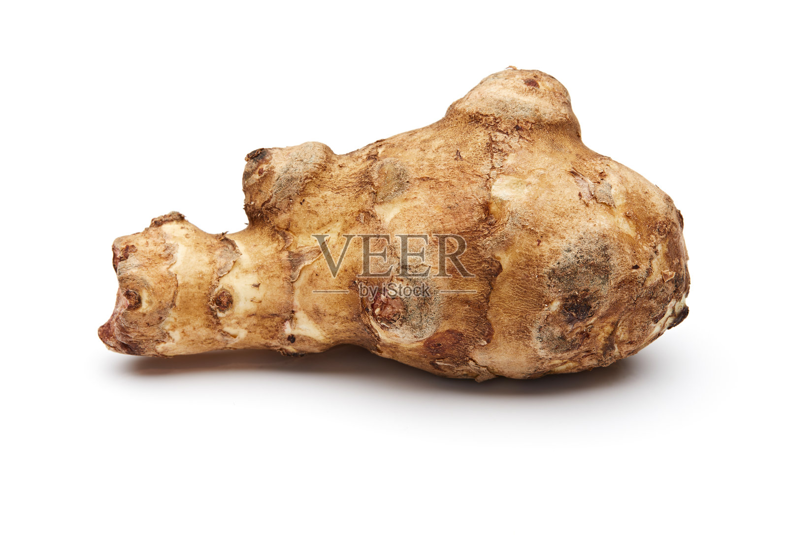 洋姜照片摄影图片