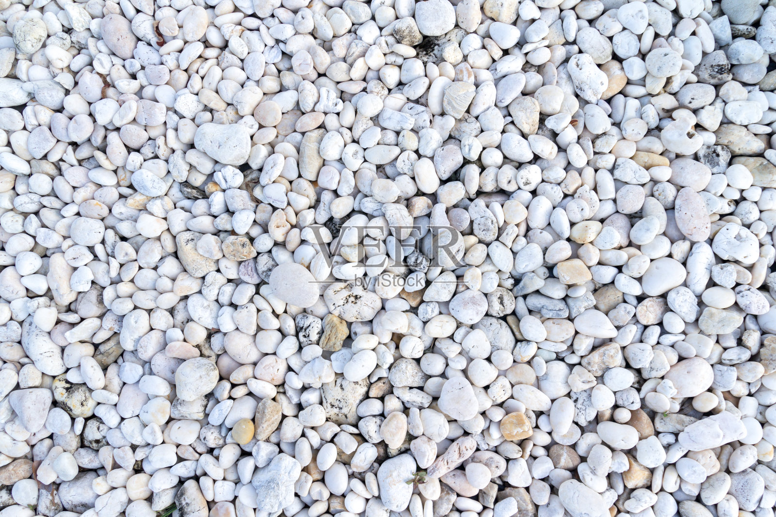 鹅卵石的纹理和背景是白色的照片摄影图片