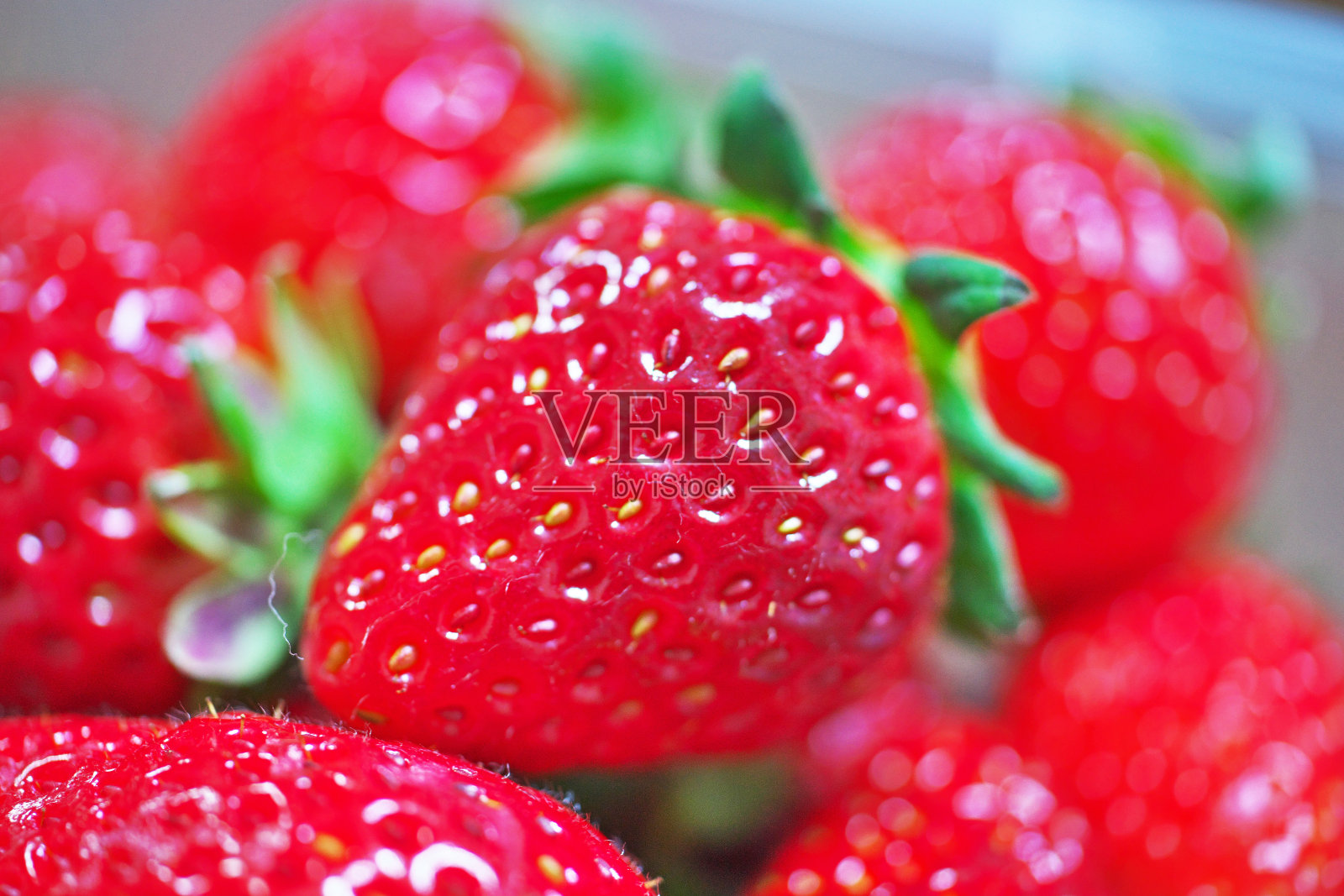 花园草莓照片摄影图片