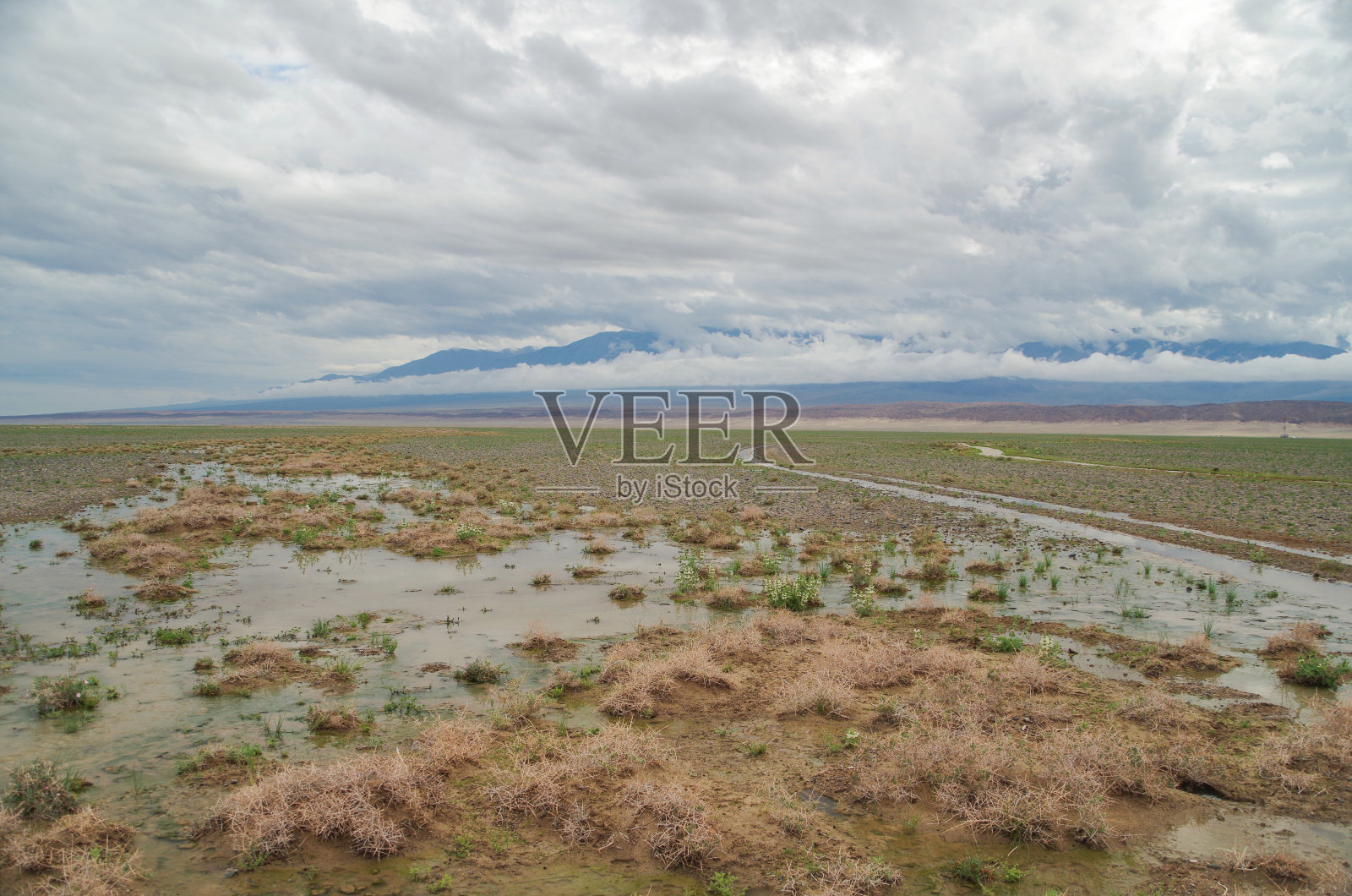 雨后的蒙古草原。自然和旅游。蒙古照片摄影图片