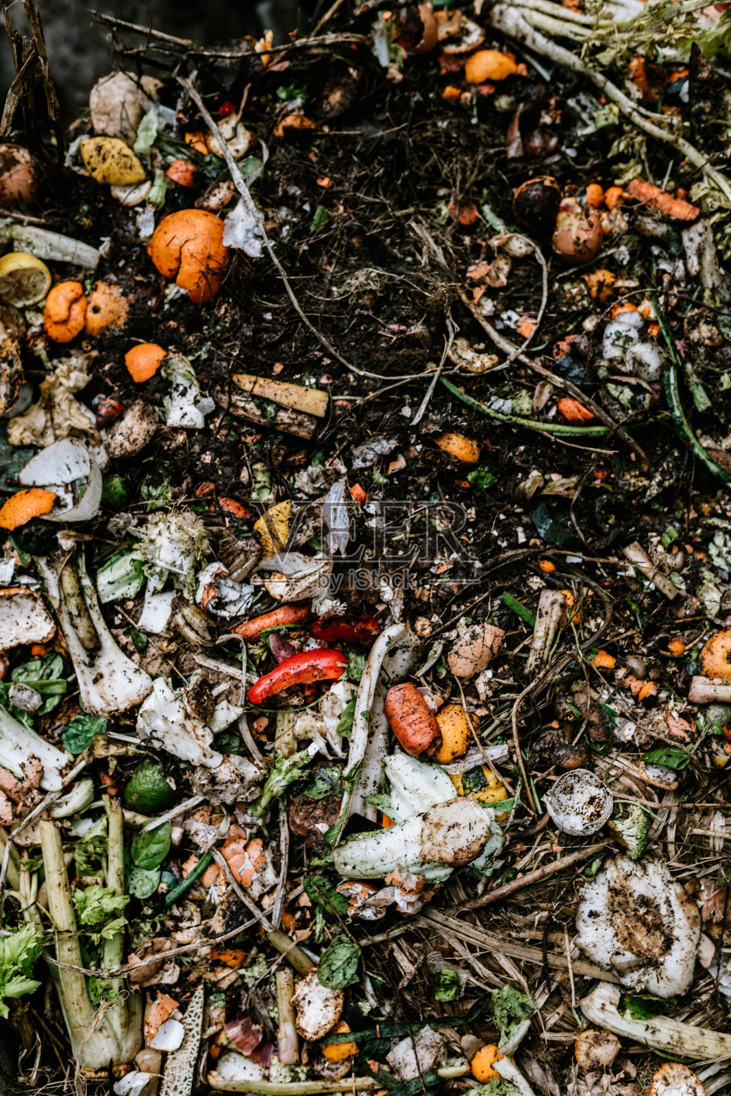 活跃的生活后院堆肥堆照片摄影图片