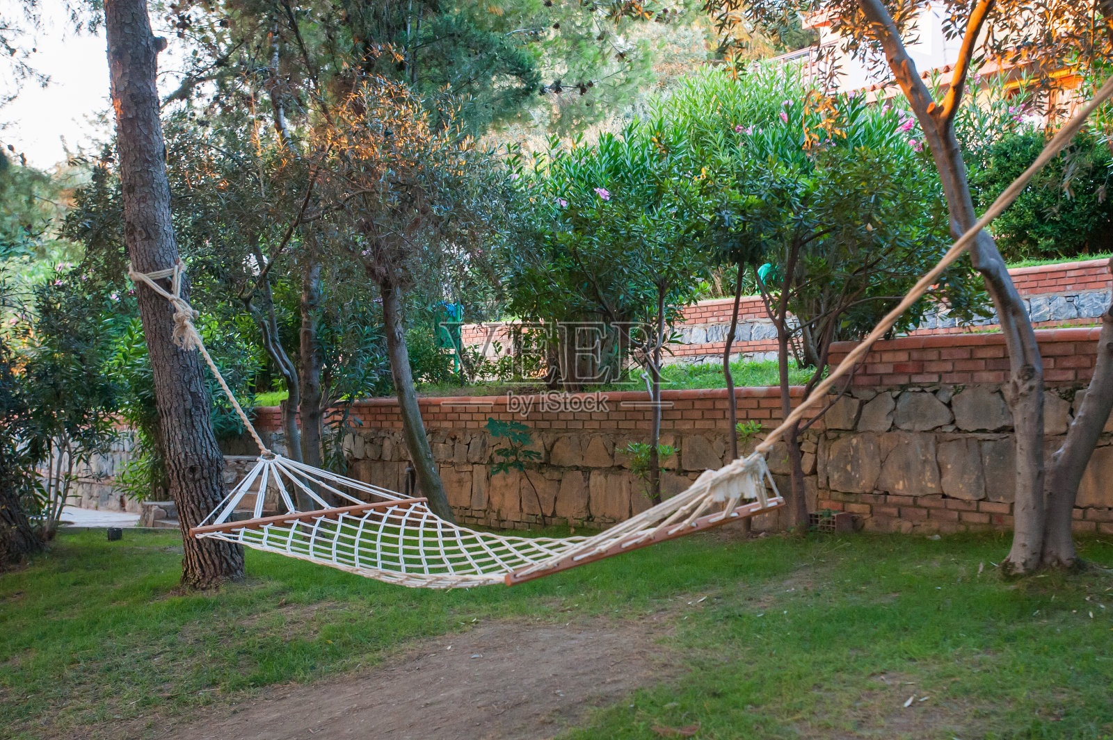 树间的吊床,在吊床上休息照片摄影图片