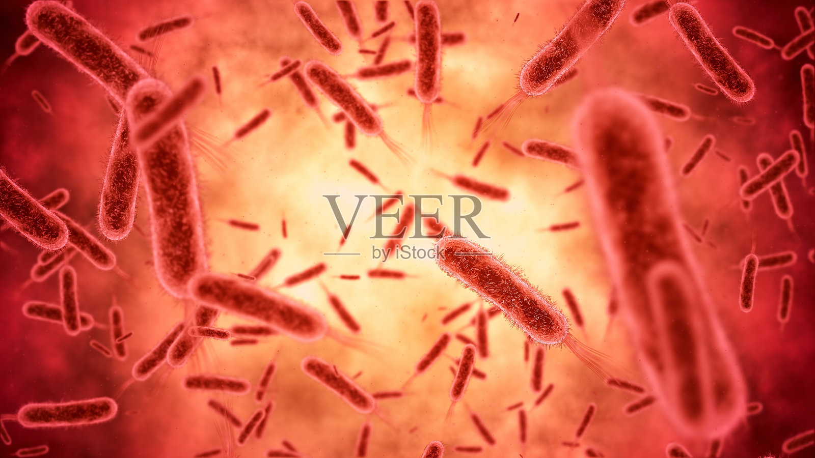 细菌特写镜头照片摄影图片