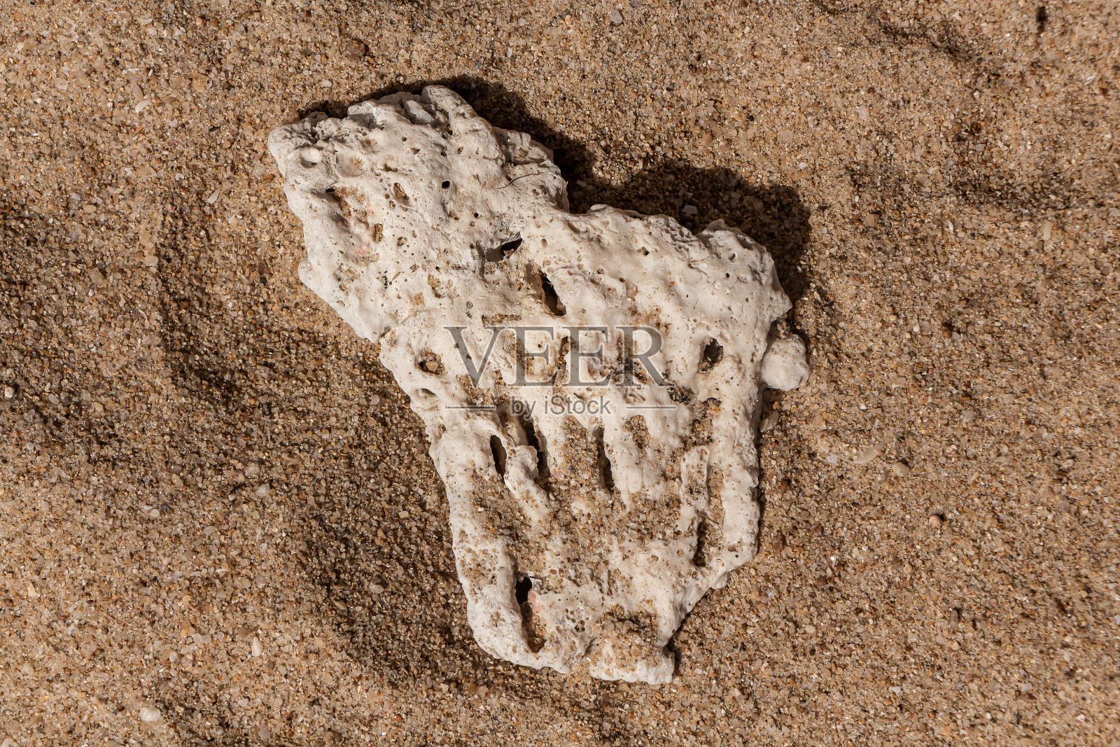 美丽的黄沙水平纹理与波浪和白色珊瑚在照片中照片摄影图片