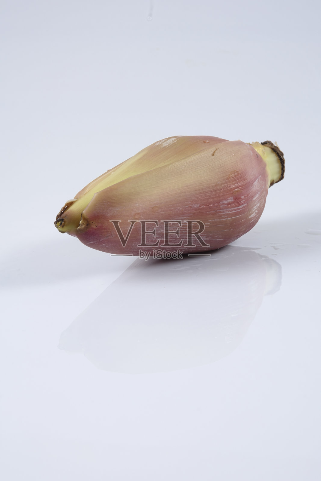 孤立在白色背景上的香蕉花照片摄影图片