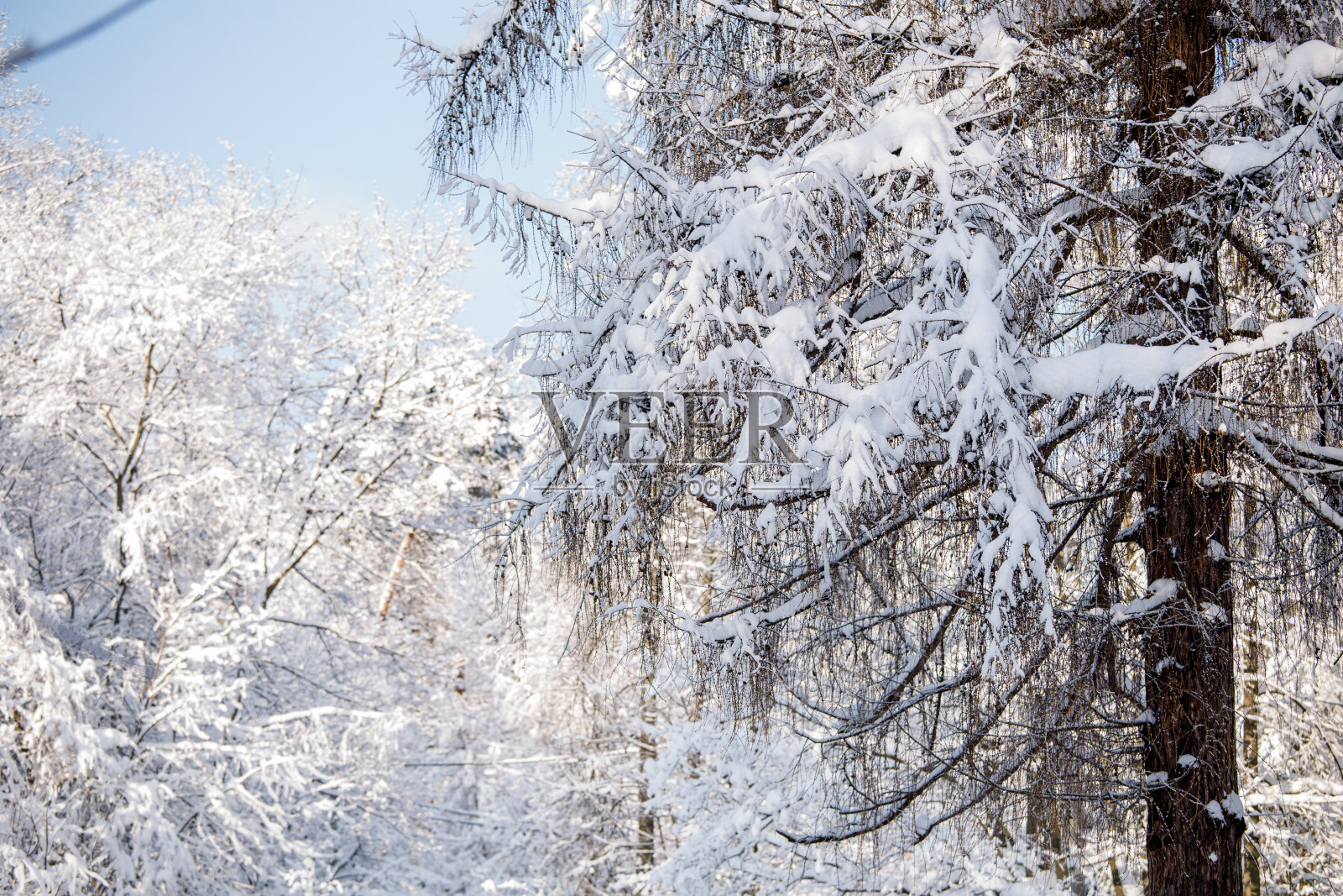 这是一幅画,画的是冬天的风景和蓝天照片摄影图片