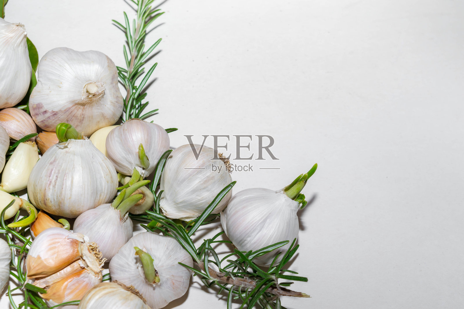 年轻的大蒜照片摄影图片