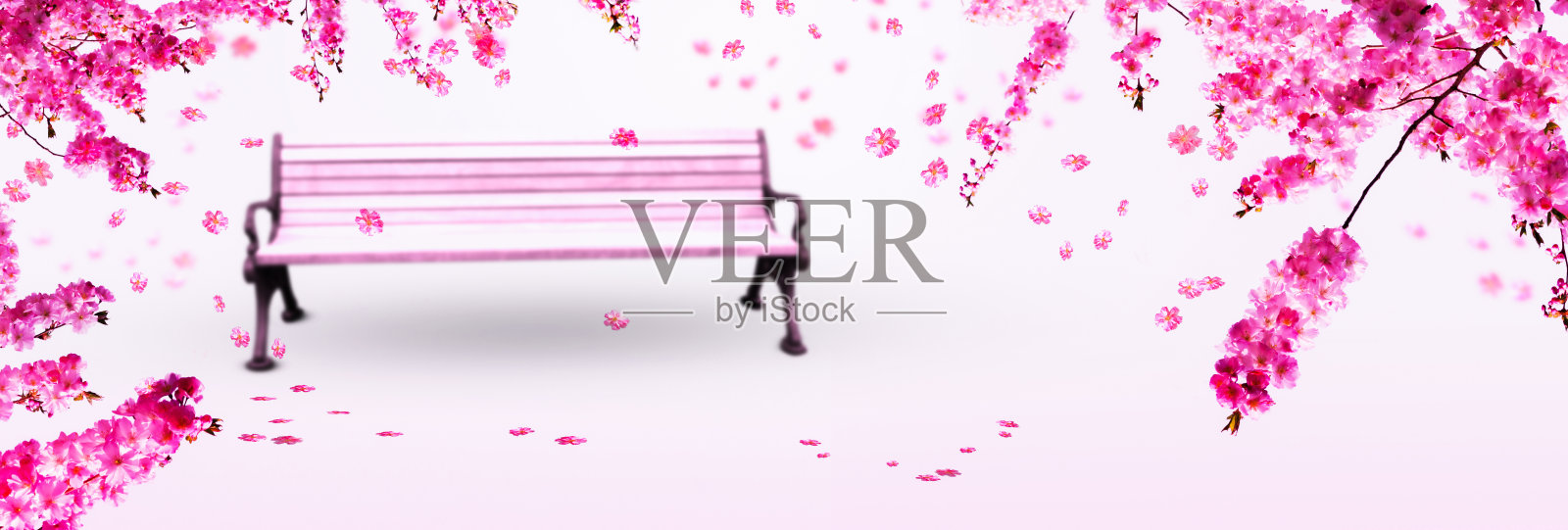 樱花树下模糊的花园长凳照片摄影图片