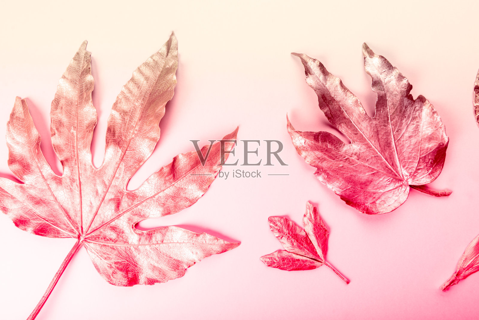 美丽的叶子画在金色和铜金属油漆照片摄影图片