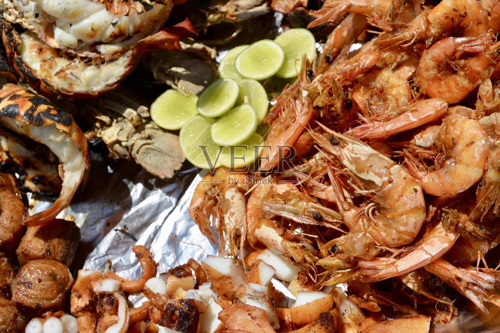 贝类照片摄影图片