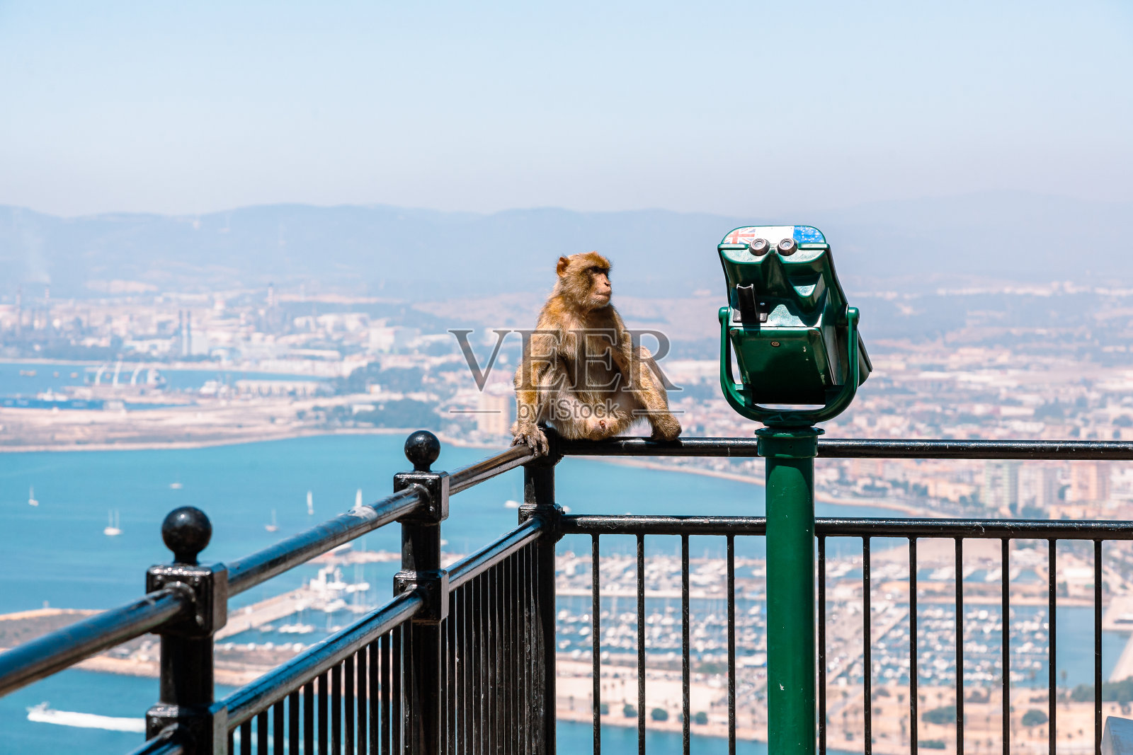 在阳光明媚的夏季,直布罗陀海港全景猴子照片摄影图片