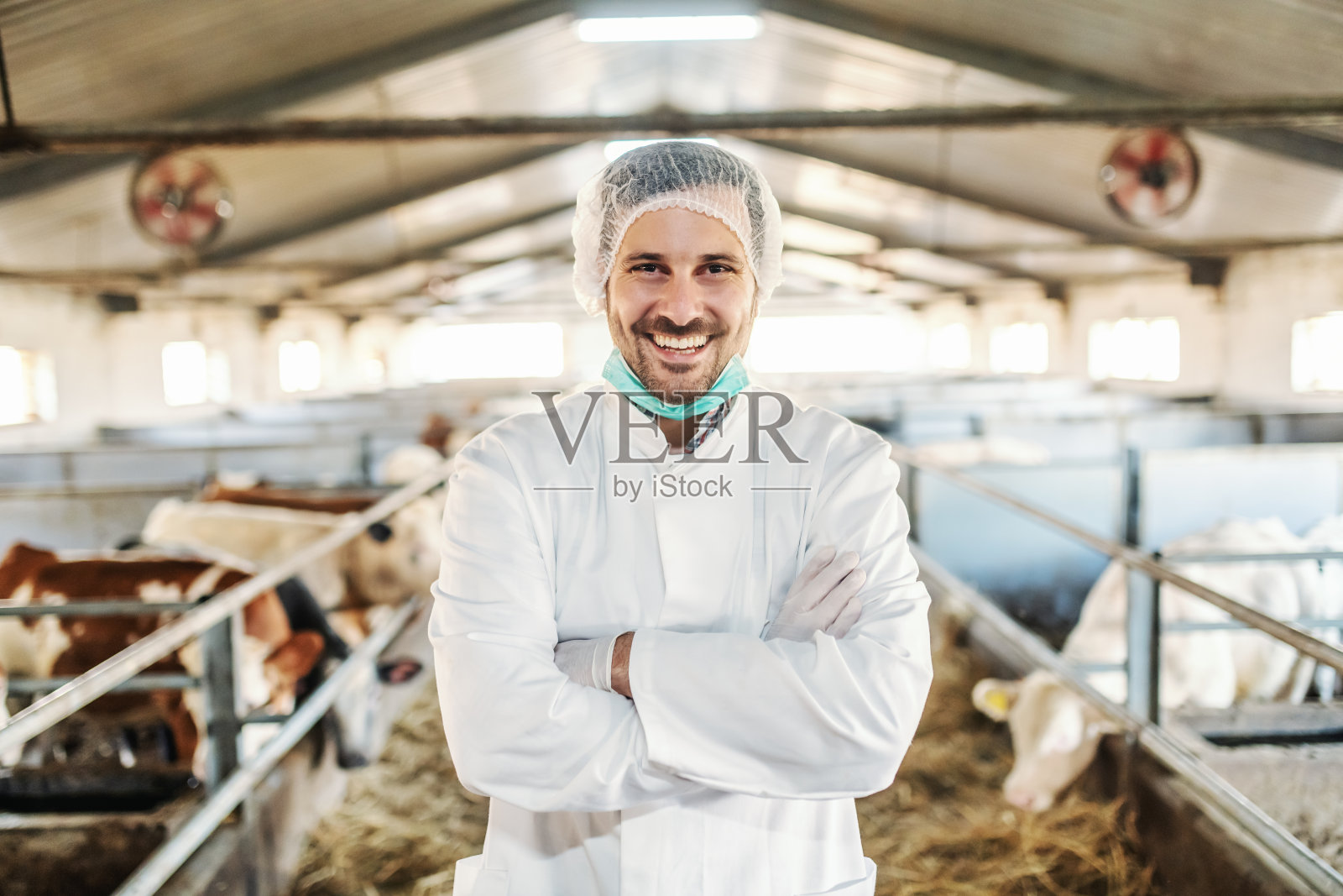 快乐的白人兽医穿着白色防护服,头戴发网,在谷仓里叉着胳膊站着照片摄影图片