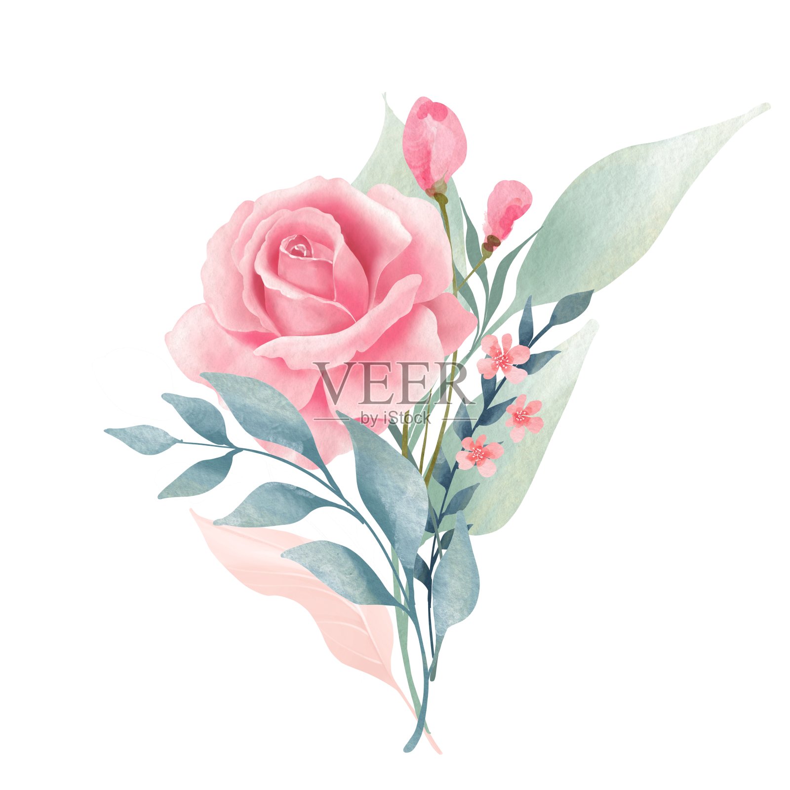 水彩画花和叶子插画图片素材