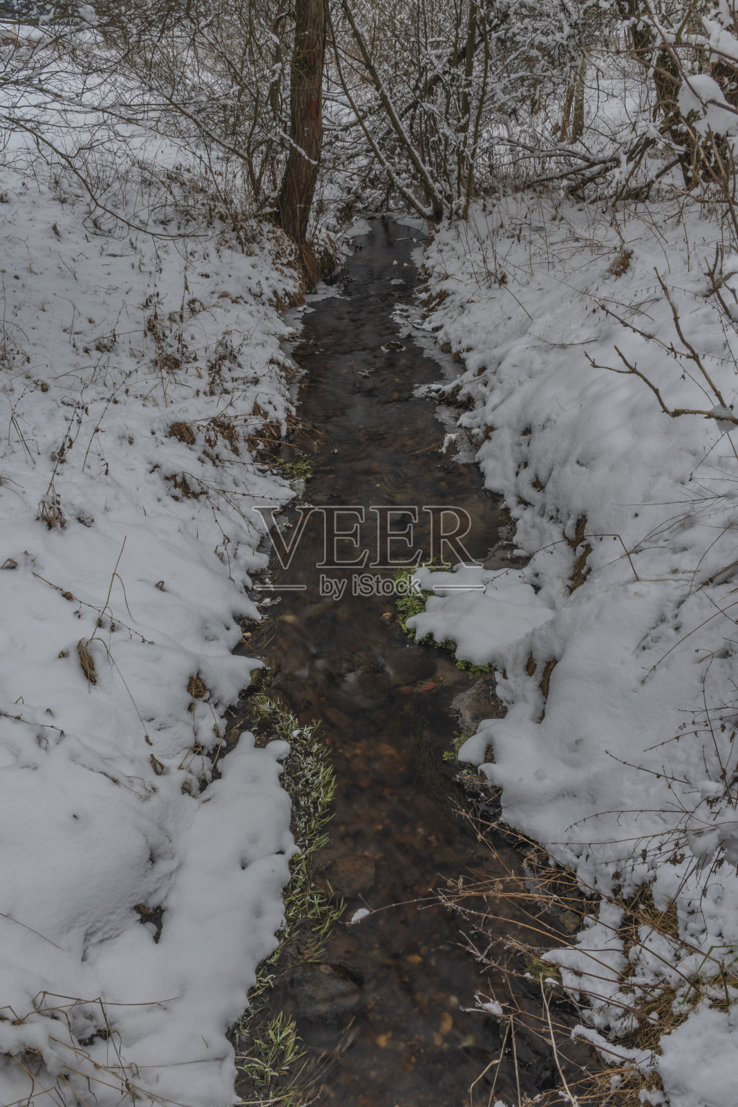 在苏玛瓦国家公园的冬雪中,有冰雪的霍德斯拉夫斯基溪照片摄影图片