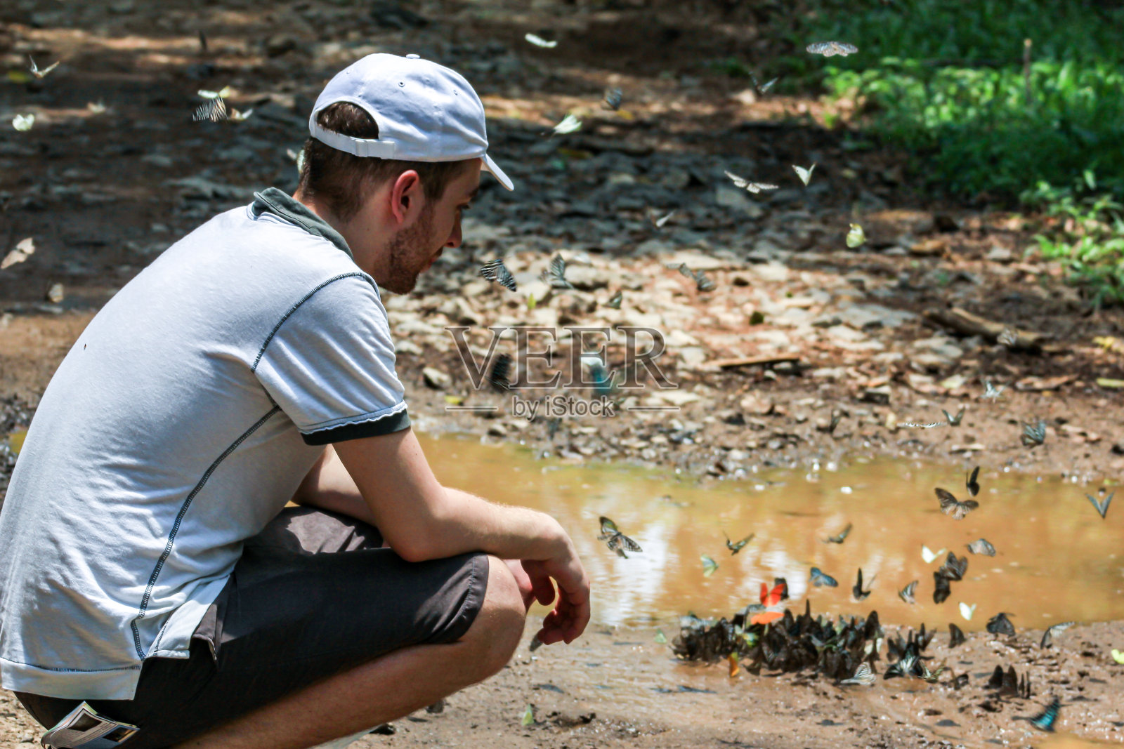 游客坐在森林小路上,一群蝴蝶在水坑边饮水照片摄影图片
