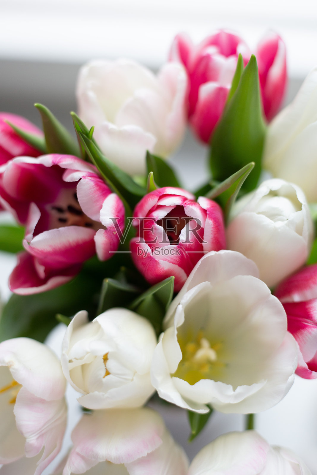 五颜六色的郁金香花在窗前照片摄影图片