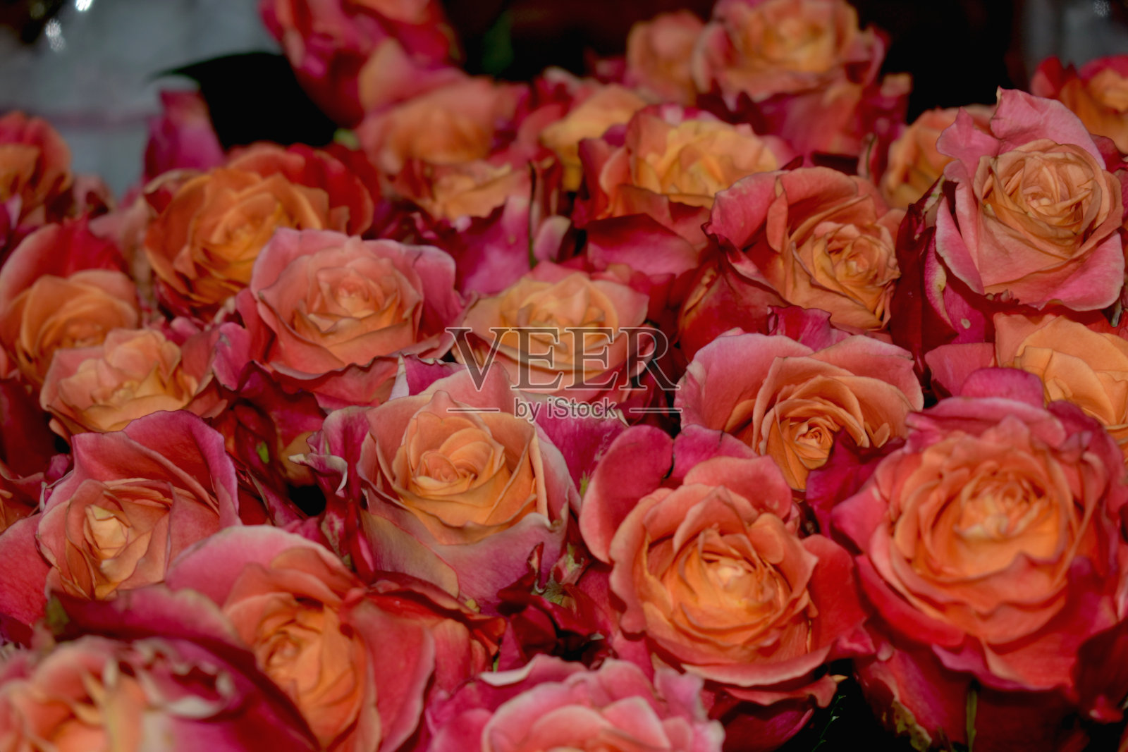 美丽的粉红色的花束照片摄影图片