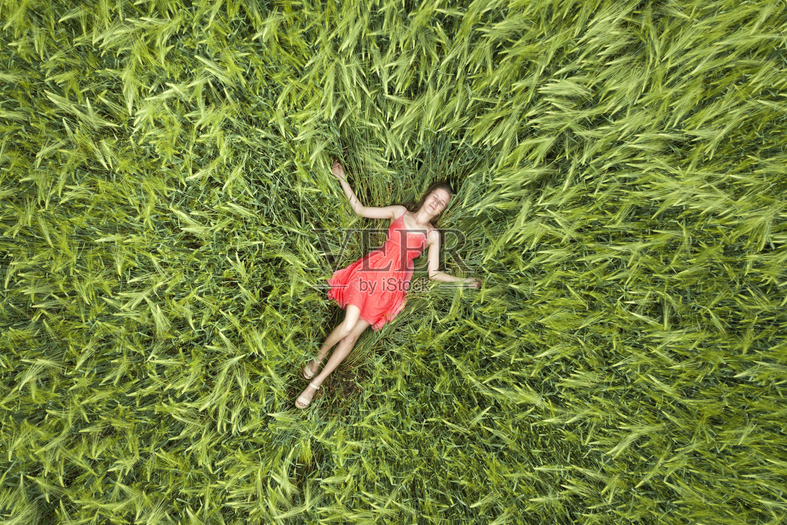 年轻苗条女子身穿红裙躺在绿色麦田闭眼俯视图照片摄影图片