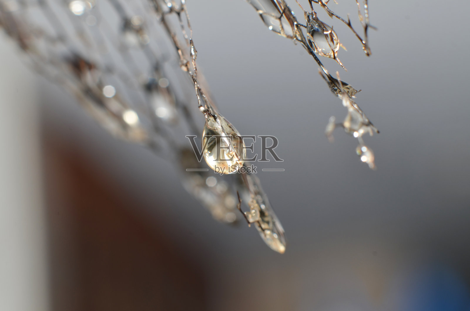 雨水留下的水滴挂在干枯的树叶上照片摄影图片