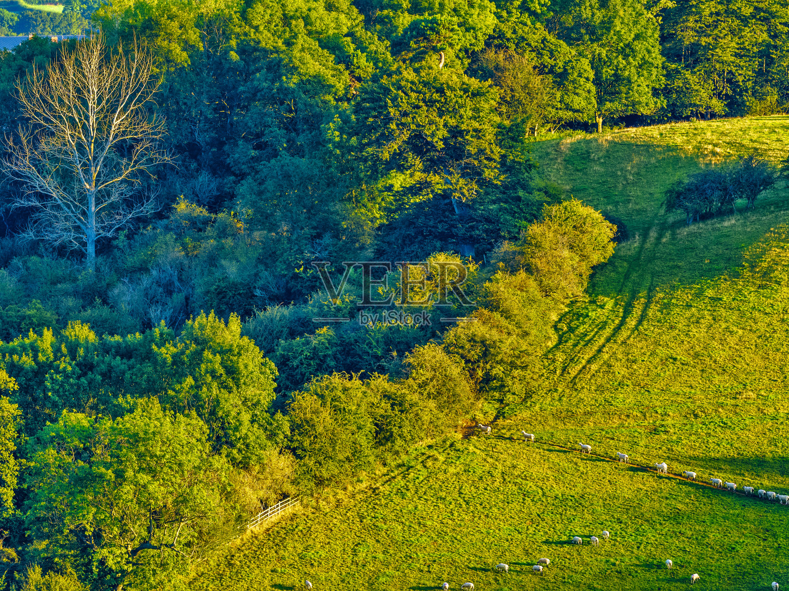 英国科茨沃尔德地区照片摄影图片