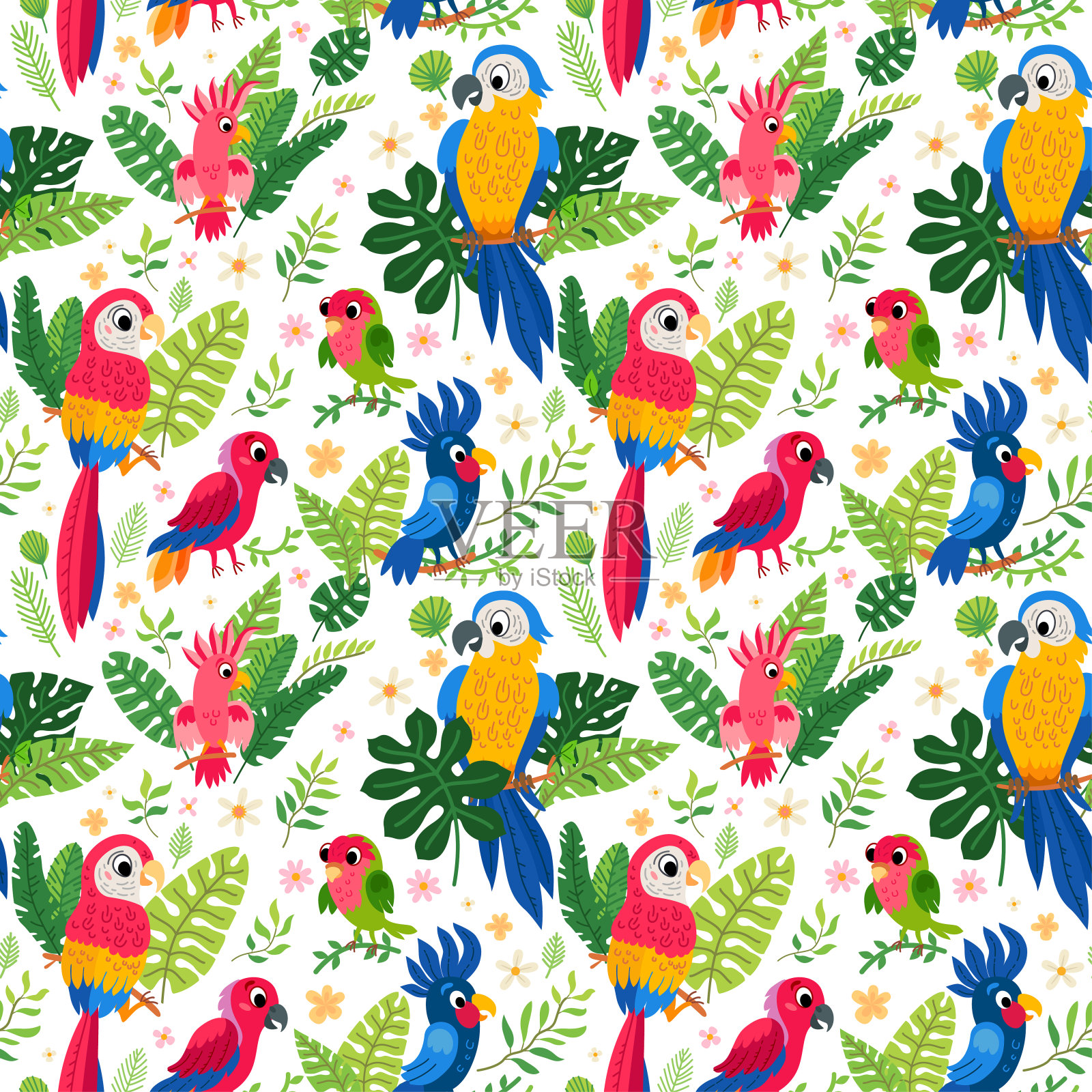 动物园丛林模式。一个热带鸟类的背景。插画图片素材