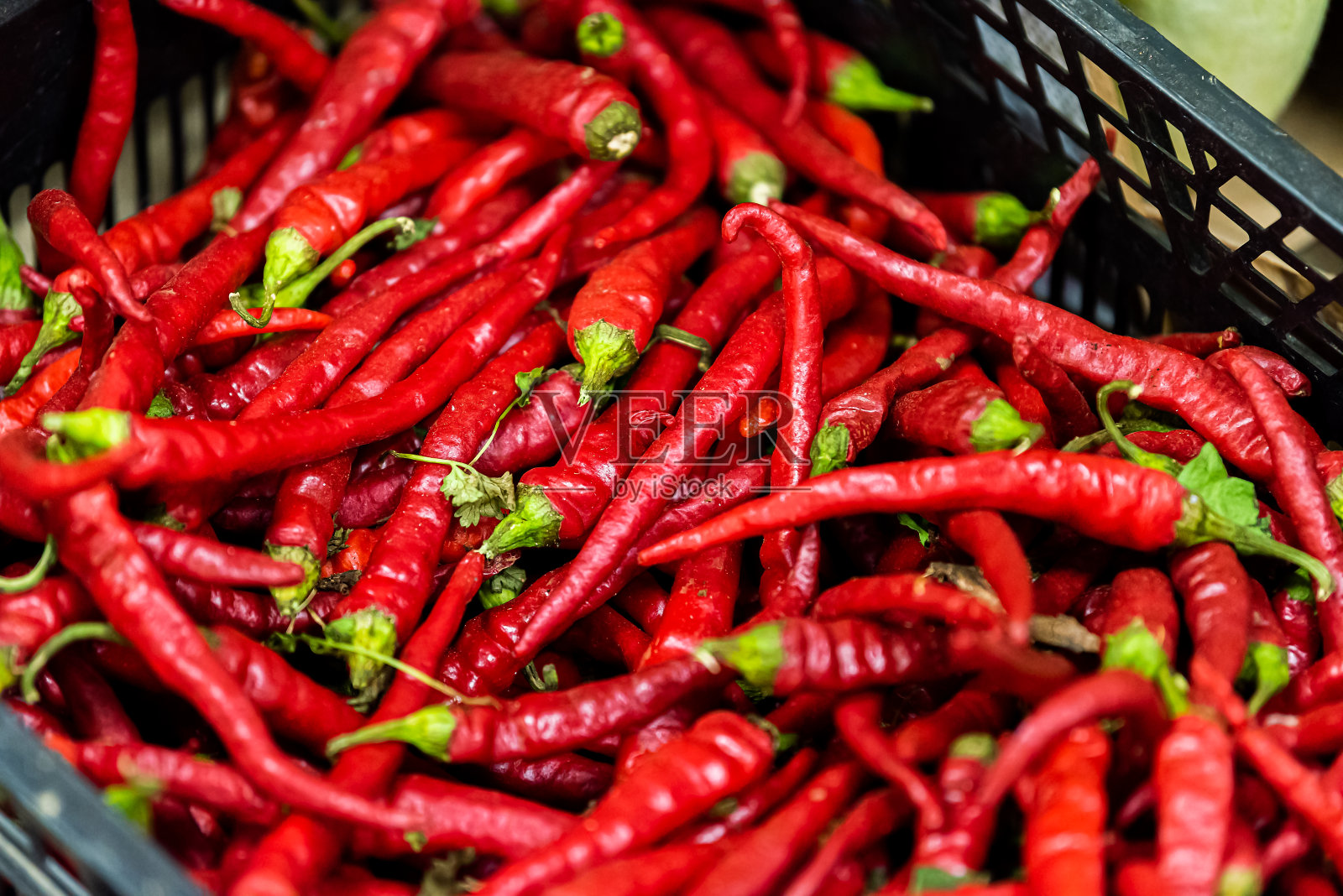 在意大利佛罗伦萨的农贸市场,许多小的生的充满活力的彩色红辣椒在塑料板条箱摊位上展出的特写照片摄影图片