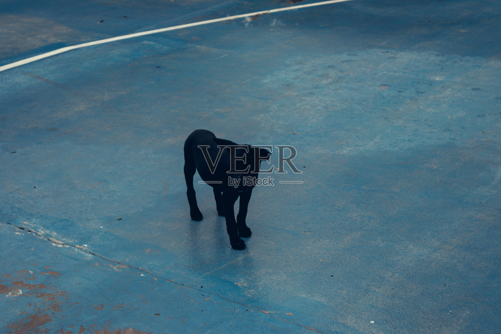 美丽的大自然在雨天照片摄影图片