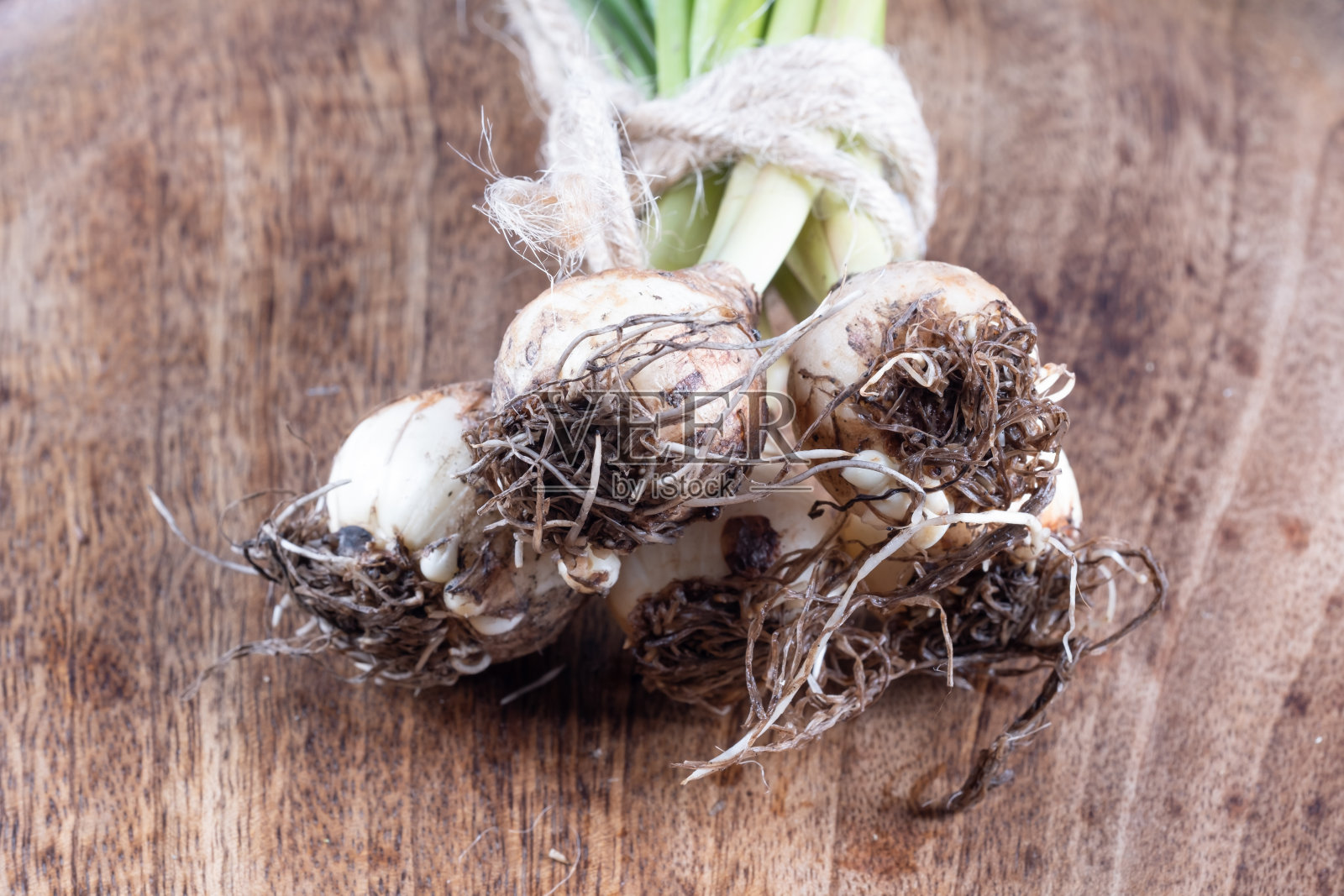 木质表面上的春花球茎照片摄影图片